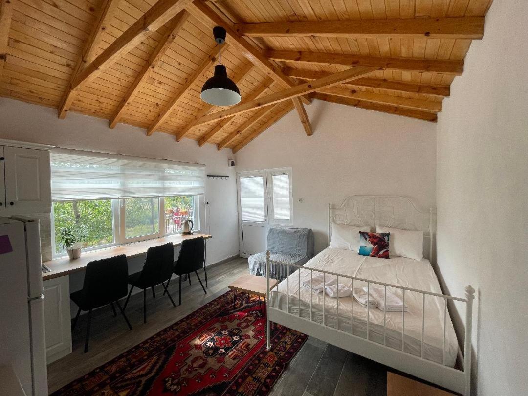 One-Bedroom Villa photo 1