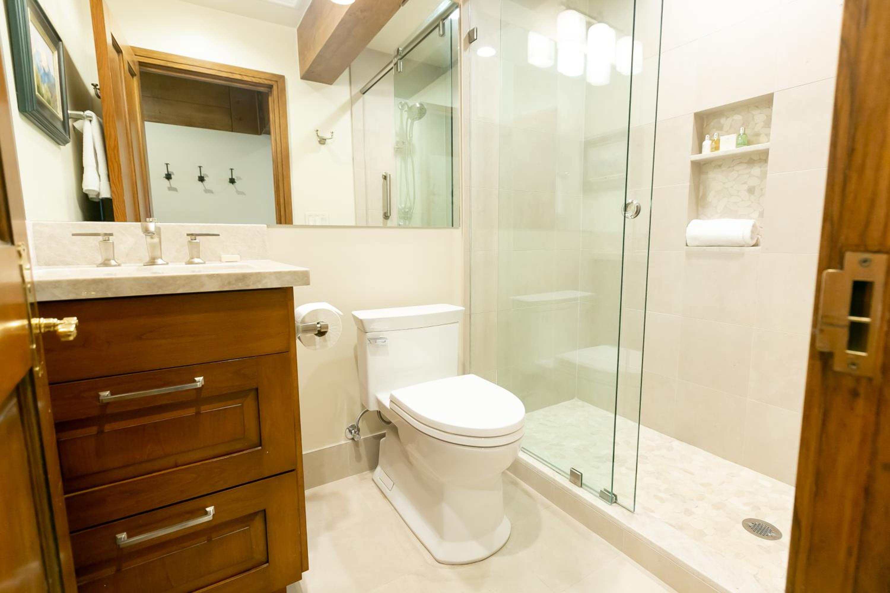 Deluxe 1-bedroom apartment