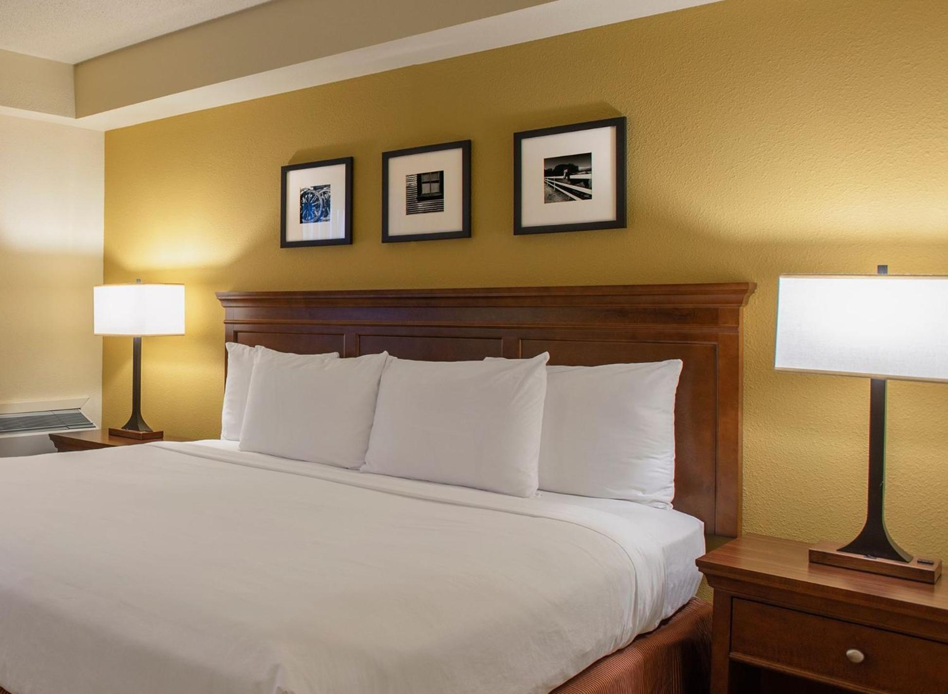 Deluxe King Room - Non-Smoking - Photo 3