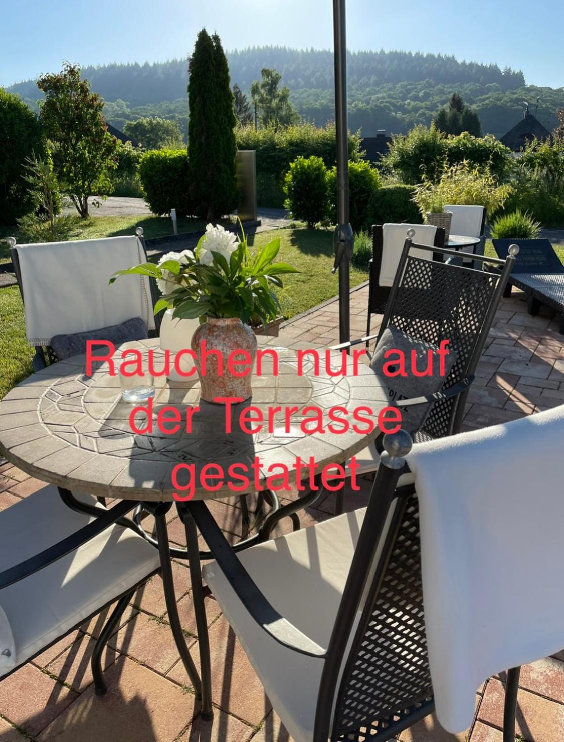 Apartment with Terrace photo 2