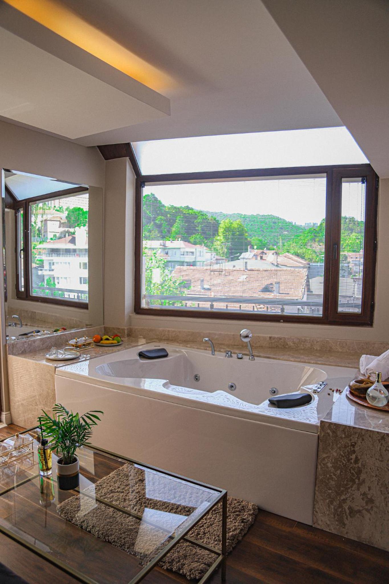 Deluxe Suite - Photo 4