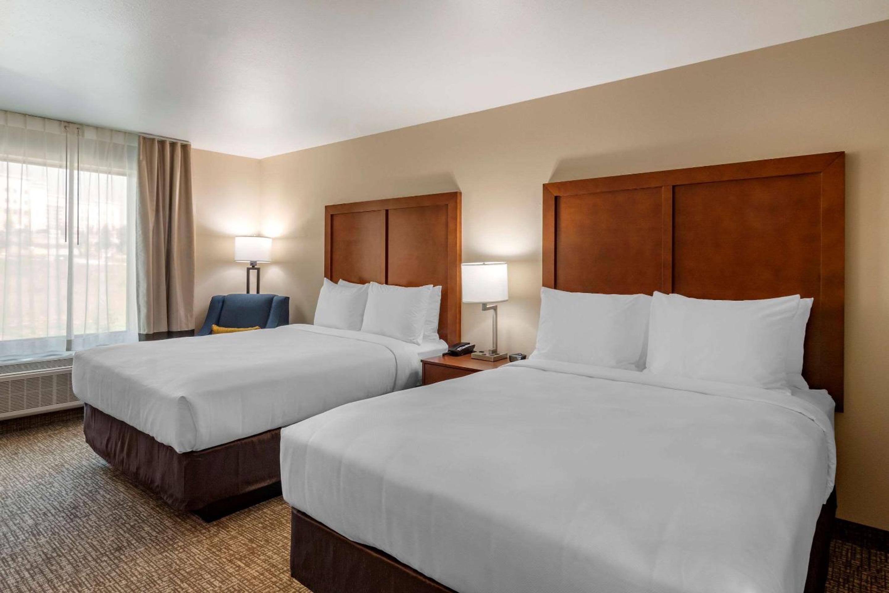 Large One Room Suite with Two Queen Beds and Sofa bed - Non Smoking - Photo 4