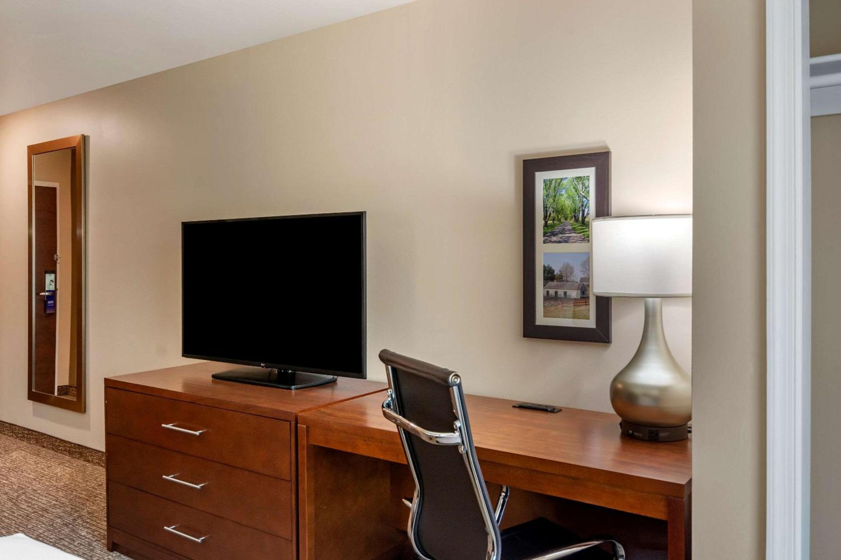 Large One Room Suite with Two Queen Beds and Sofa bed - Non Smoking - Photo 6