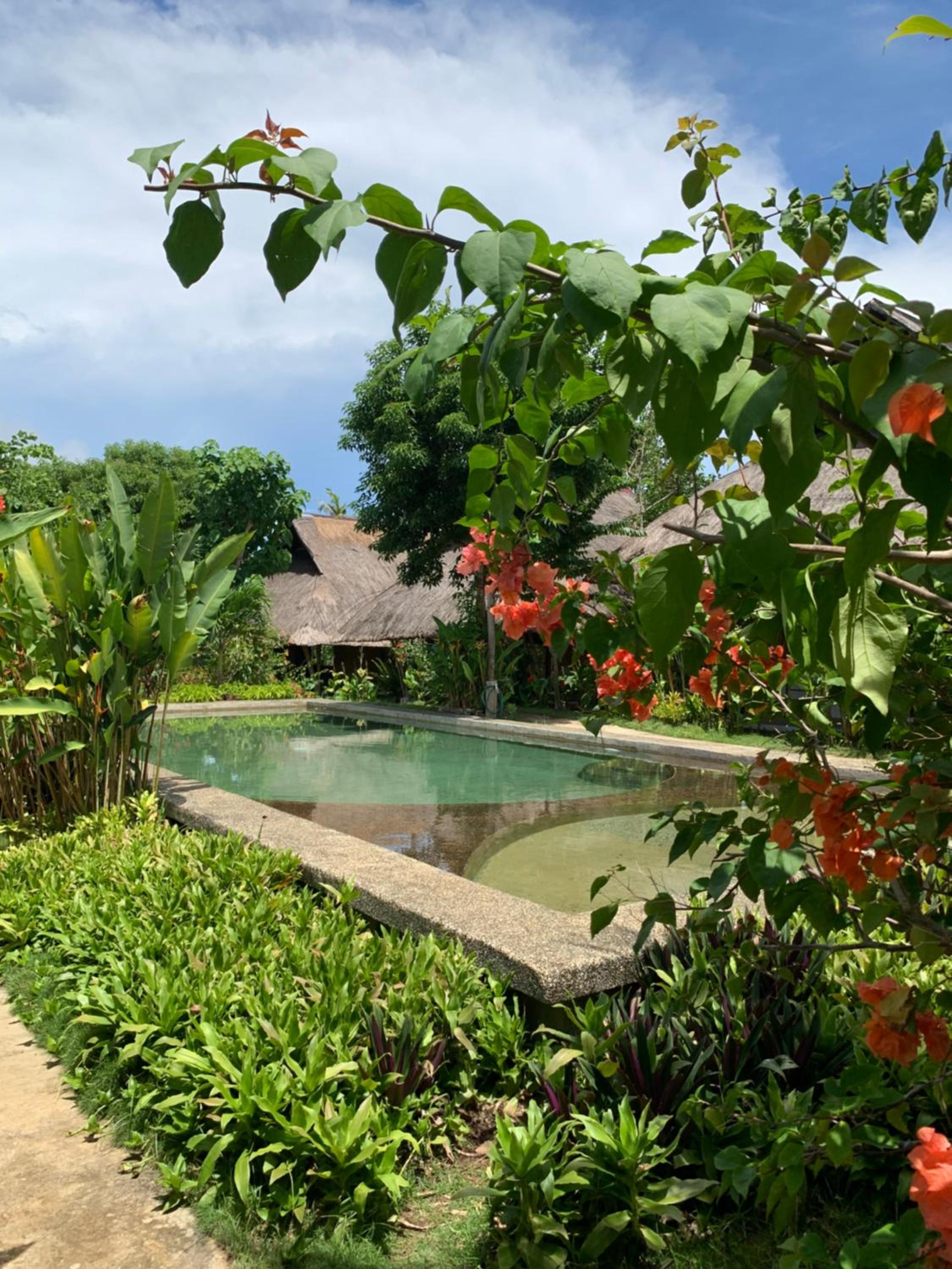 Queen Room with Pool View photo 2