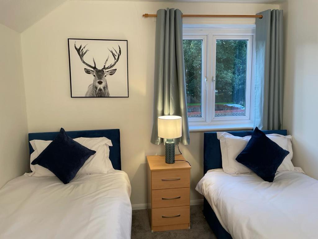 Three-Bedroom House photo 1