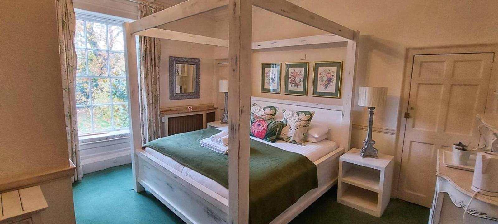 King Room photo 1