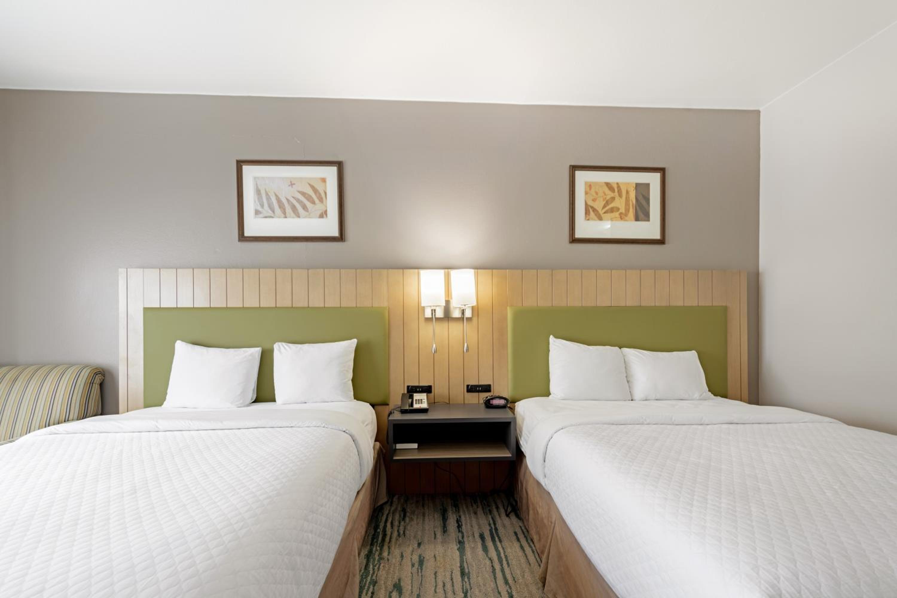 Queen Room with Two Queen Beds - Disability Access/Non-Smoking photo 3