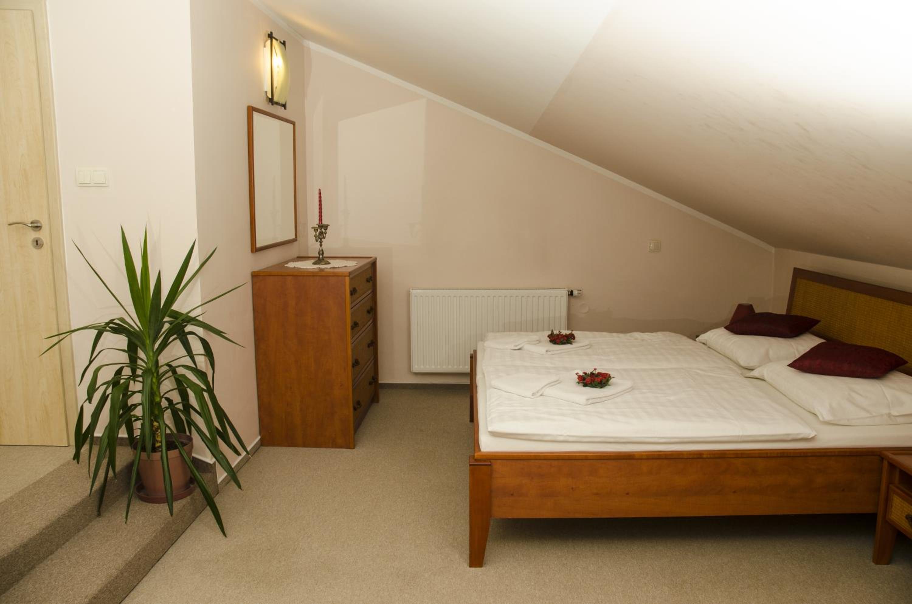 Double or Twin Room photo 3