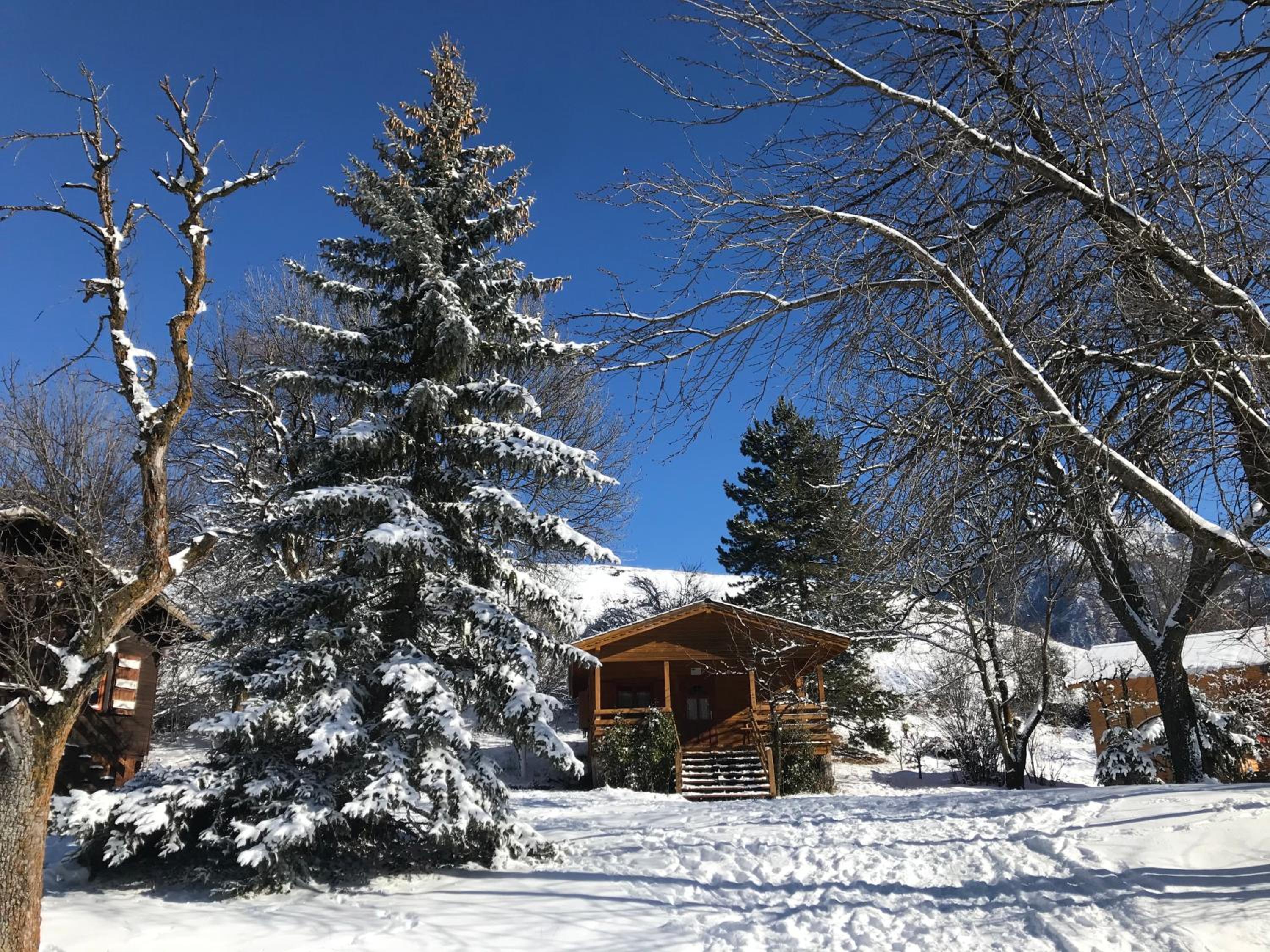 Chalet with Mountain View - Photo 6