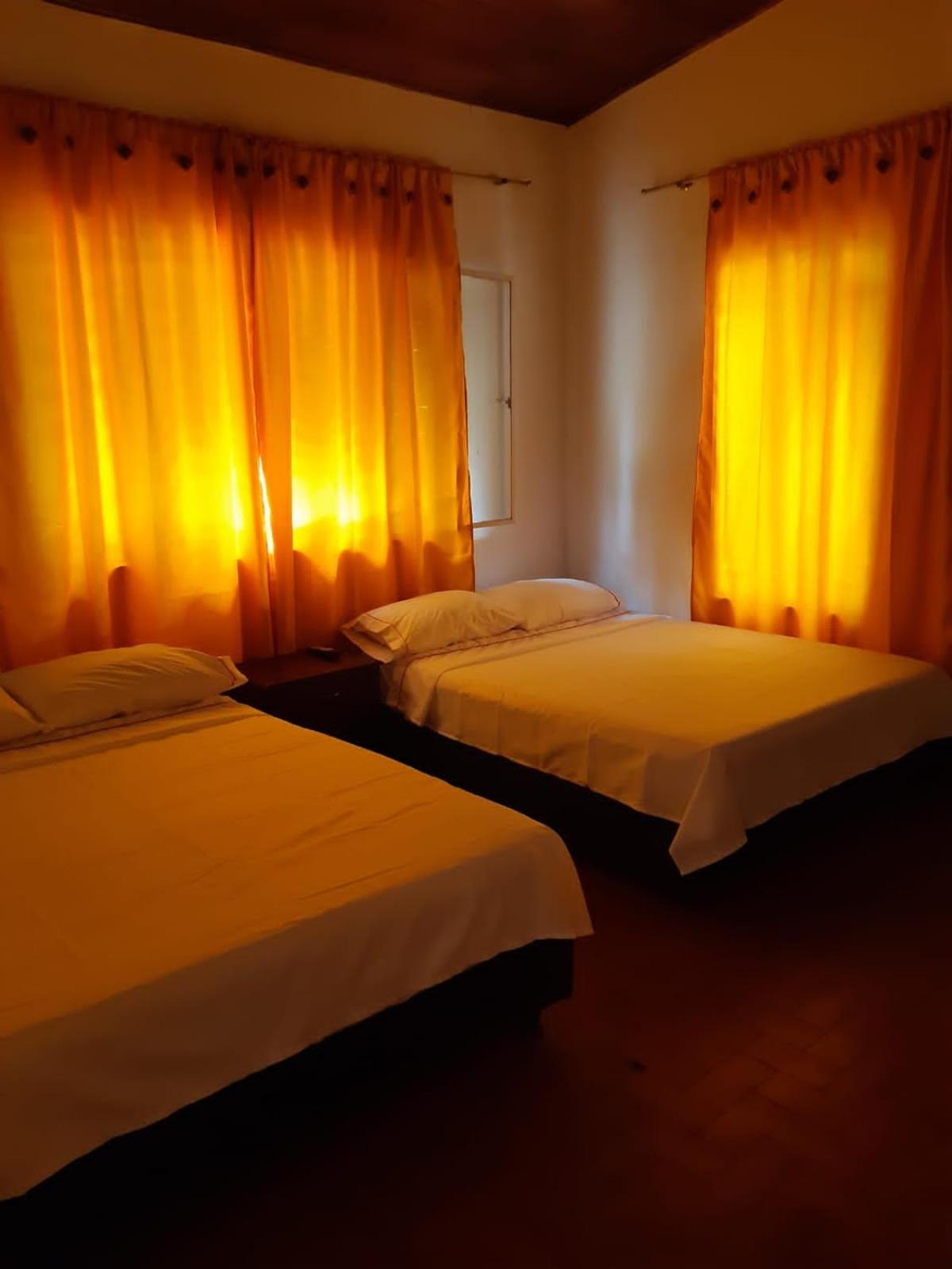 Double Room with Two Double Beds photo 1