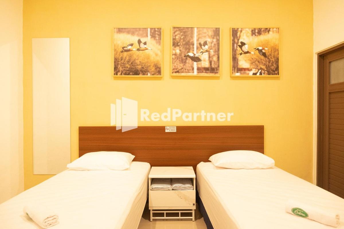 Twin Room photo 2