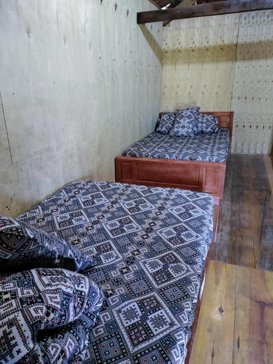 Twin Room photo 1