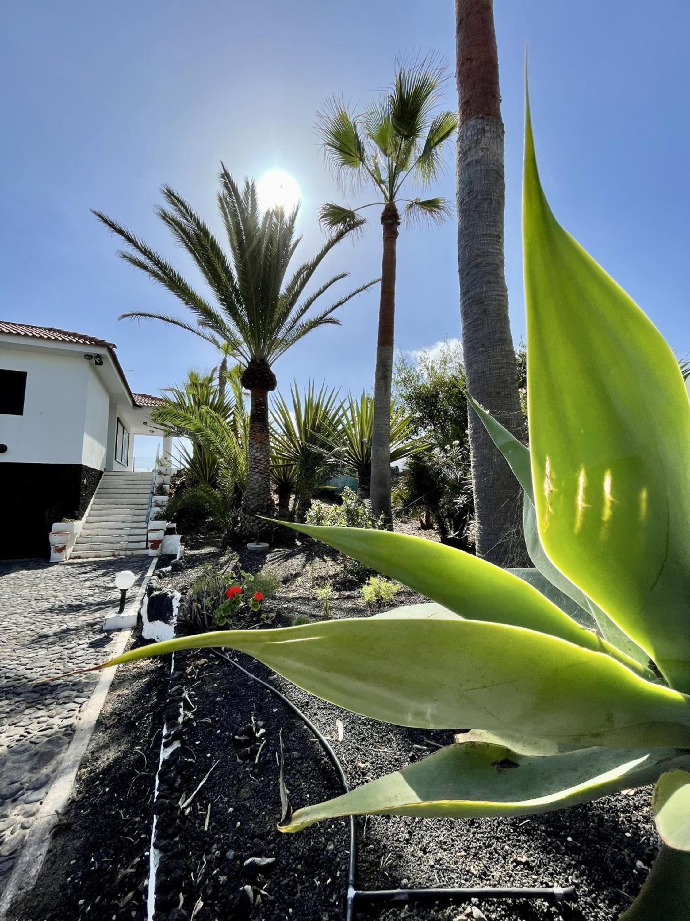 Villa - Annex photo 3