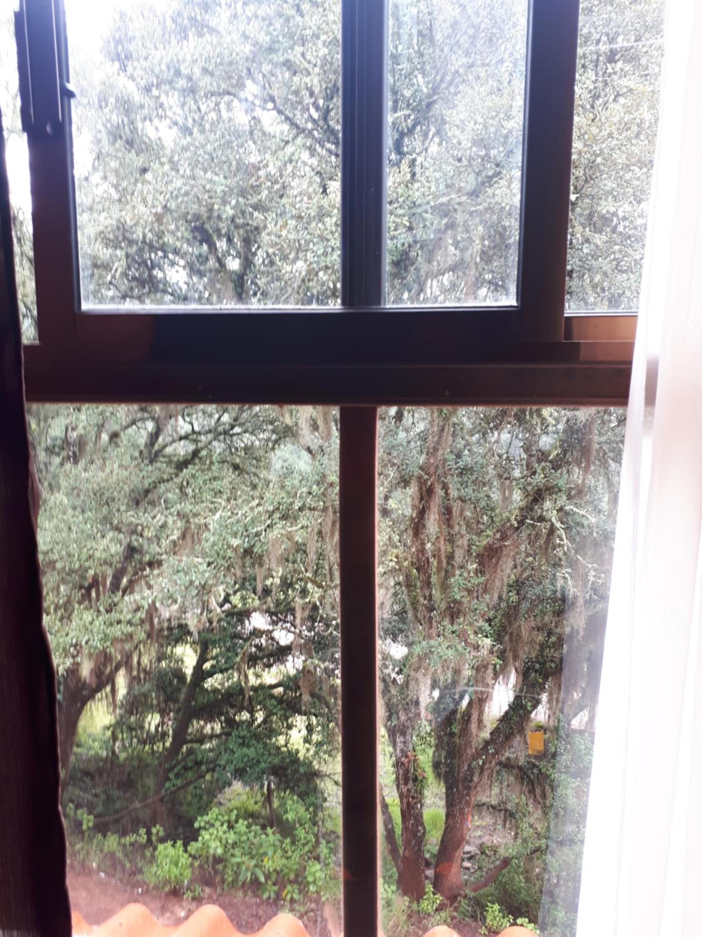 Double Room - Photo 11