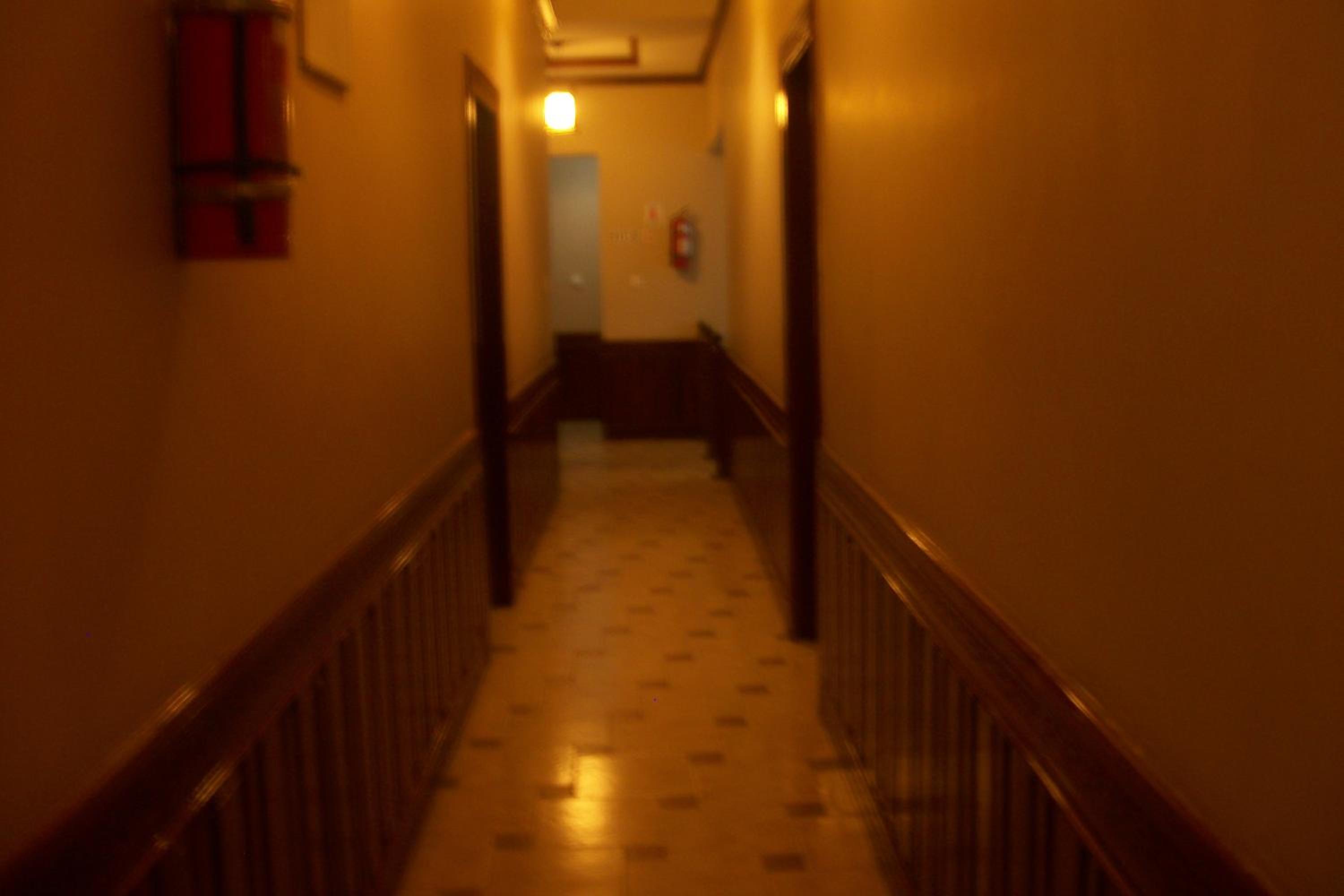 Deluxe Single Room photo 2