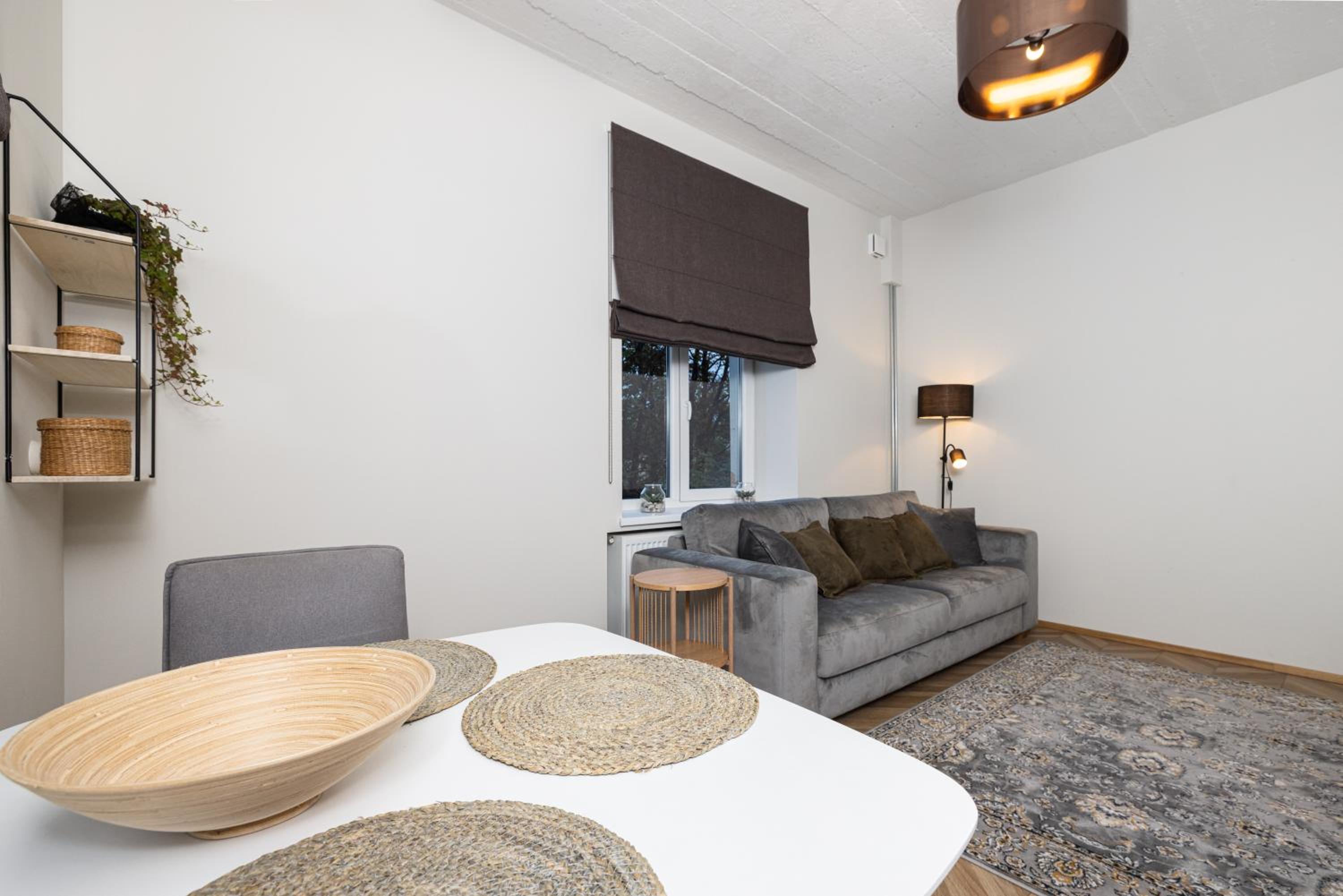 One-Bedroom Apartment - Photo 2