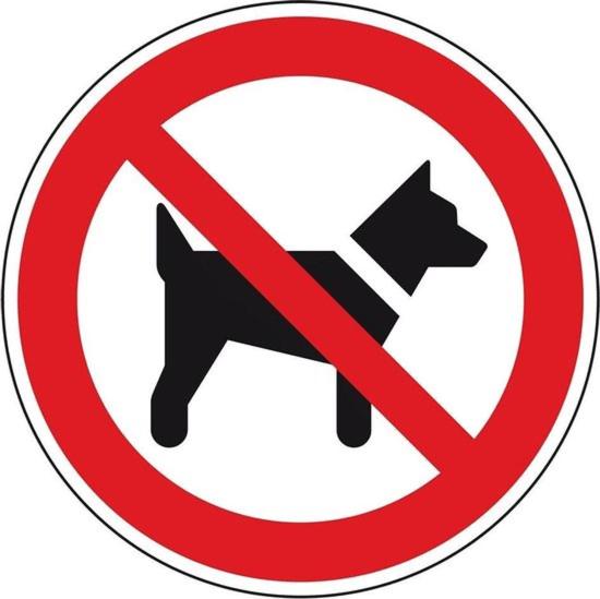 Suite - no pets allowed - Photo 3