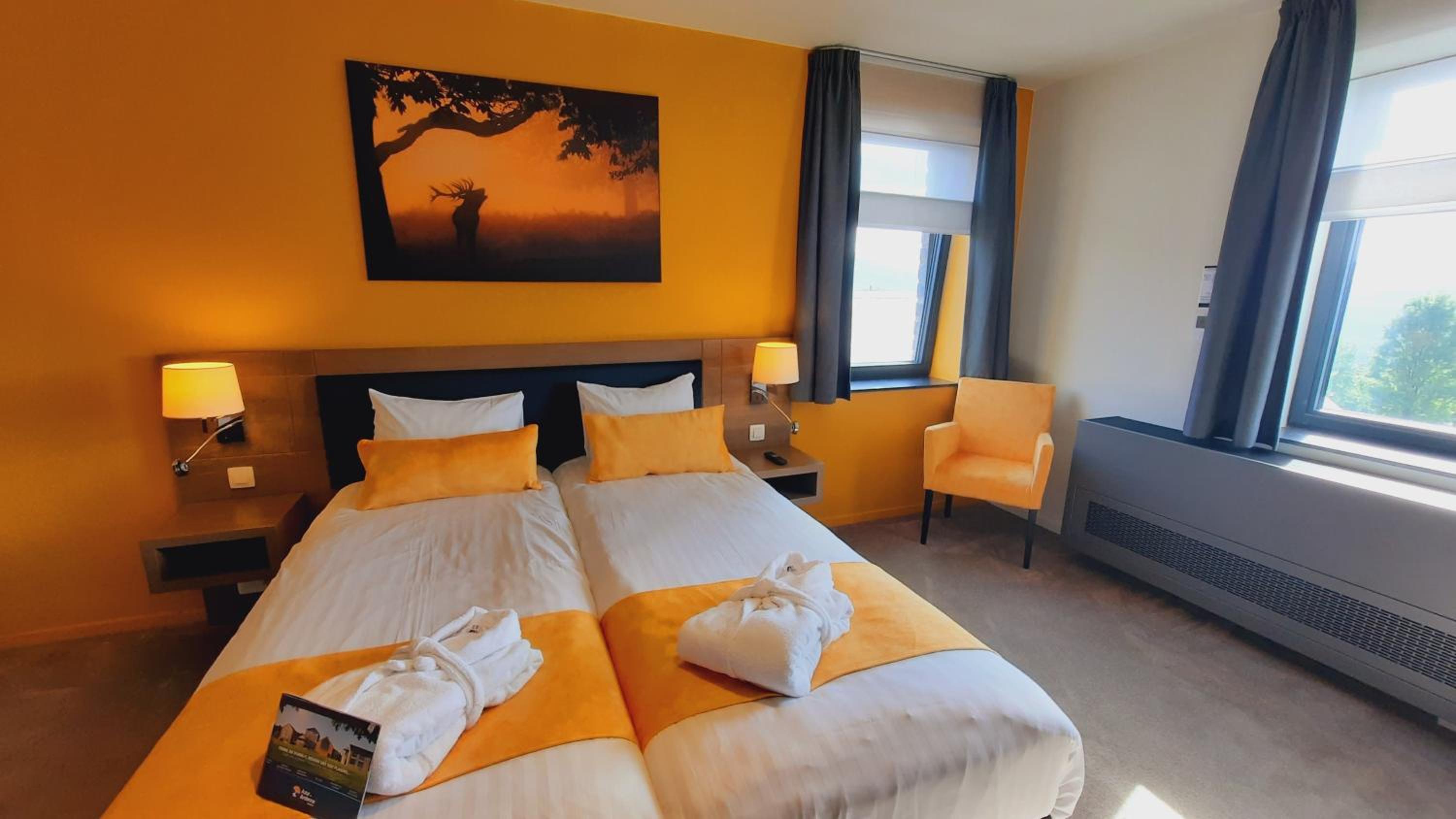 Superior Double or Twin Room photo 1