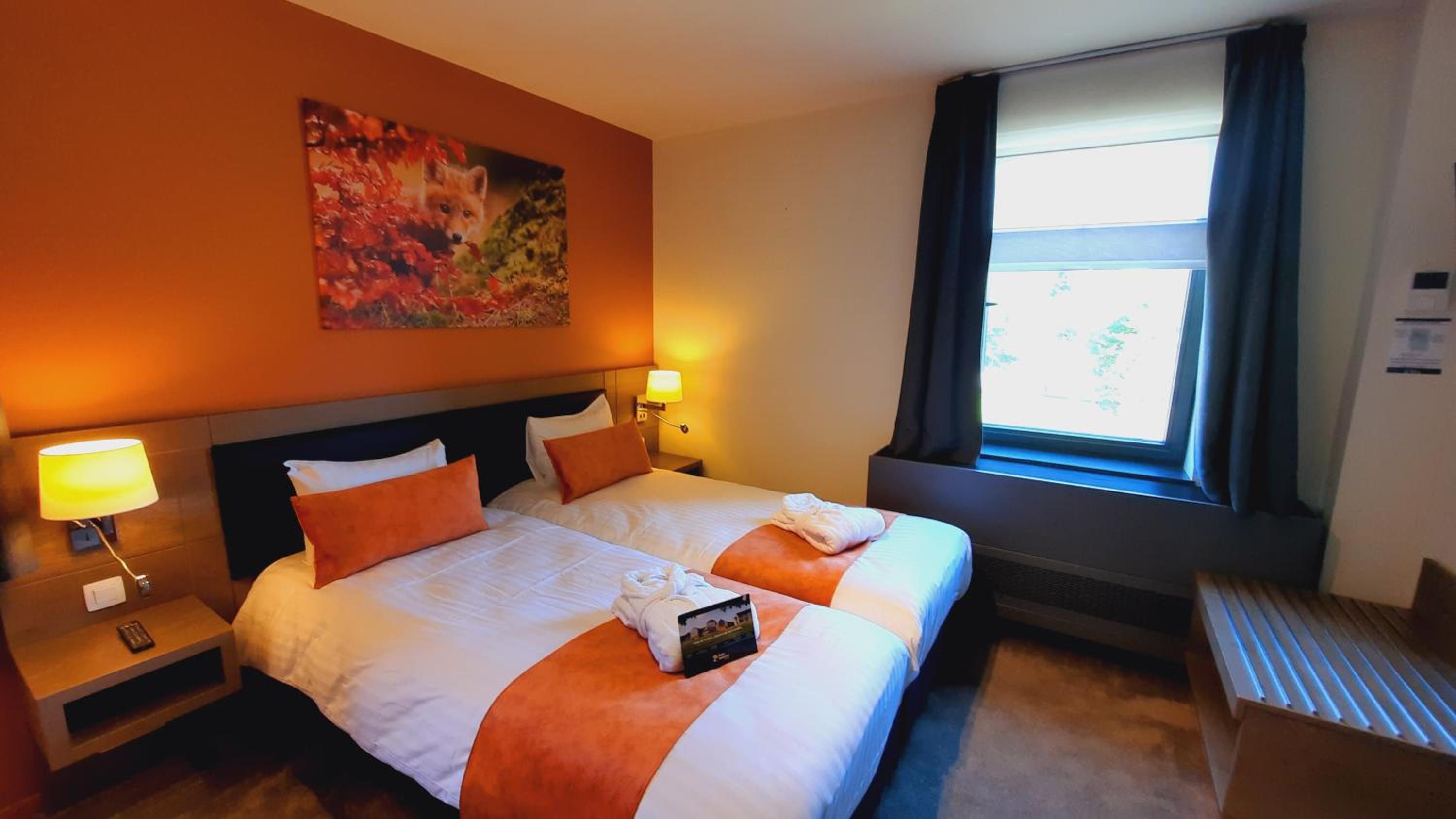 Comfort Double or Twin Room photo 3