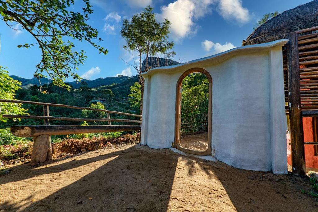 Superior Villa - Photo 23