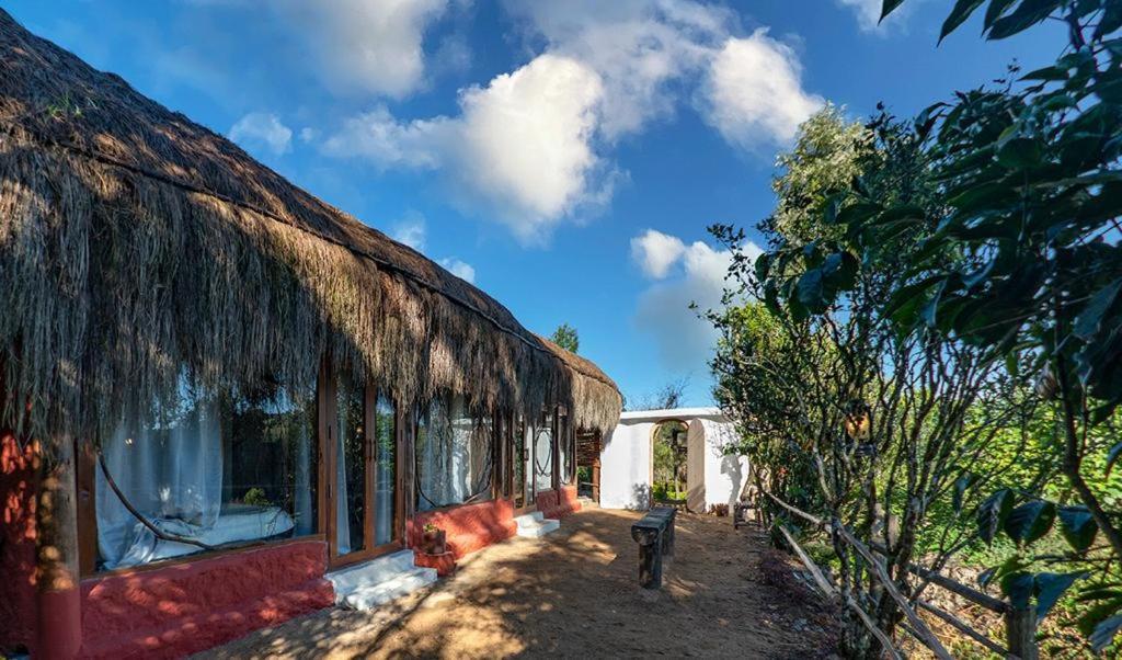 Superior Villa - Photo 20
