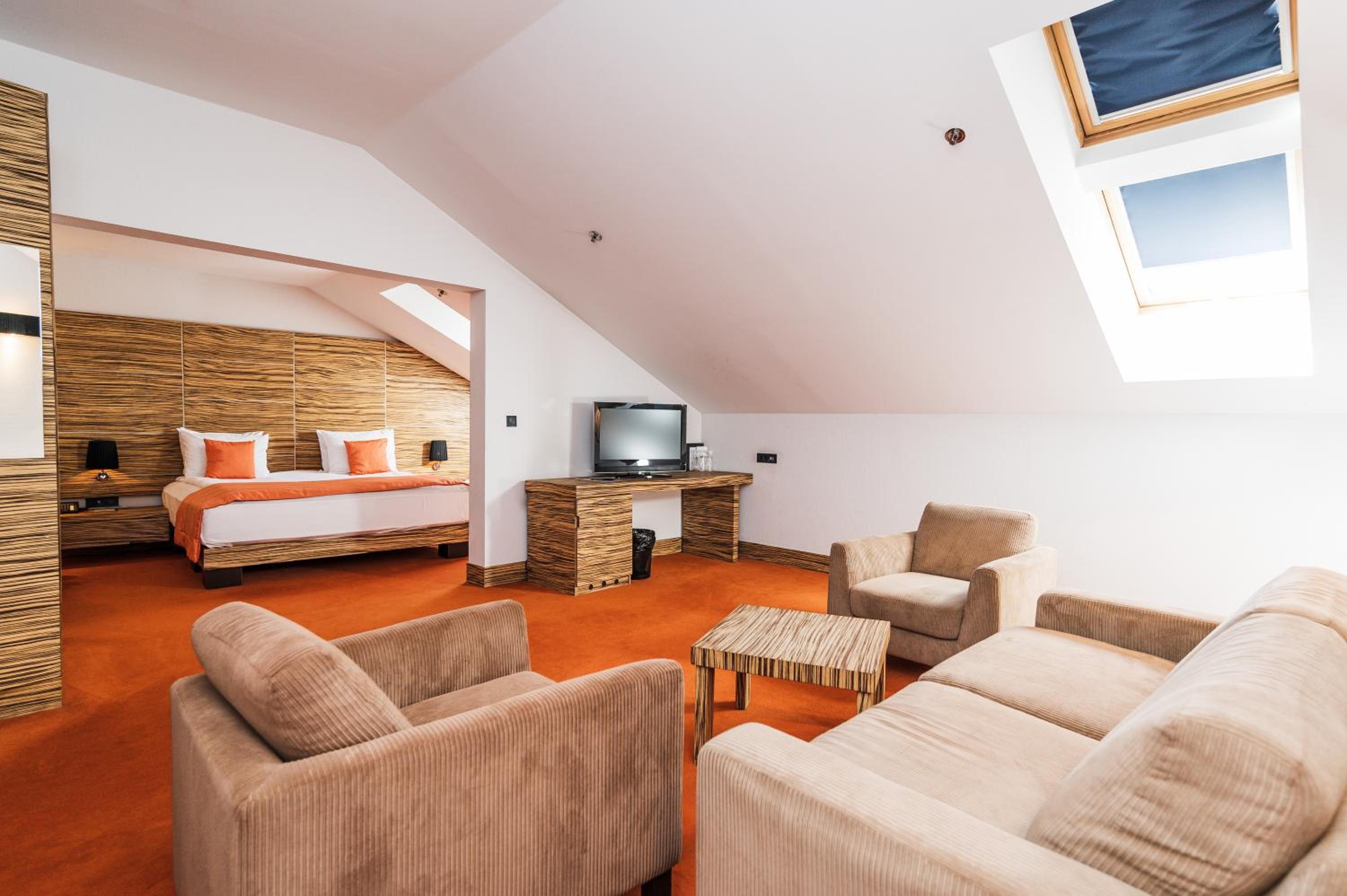 Standard Double Room - Single Use