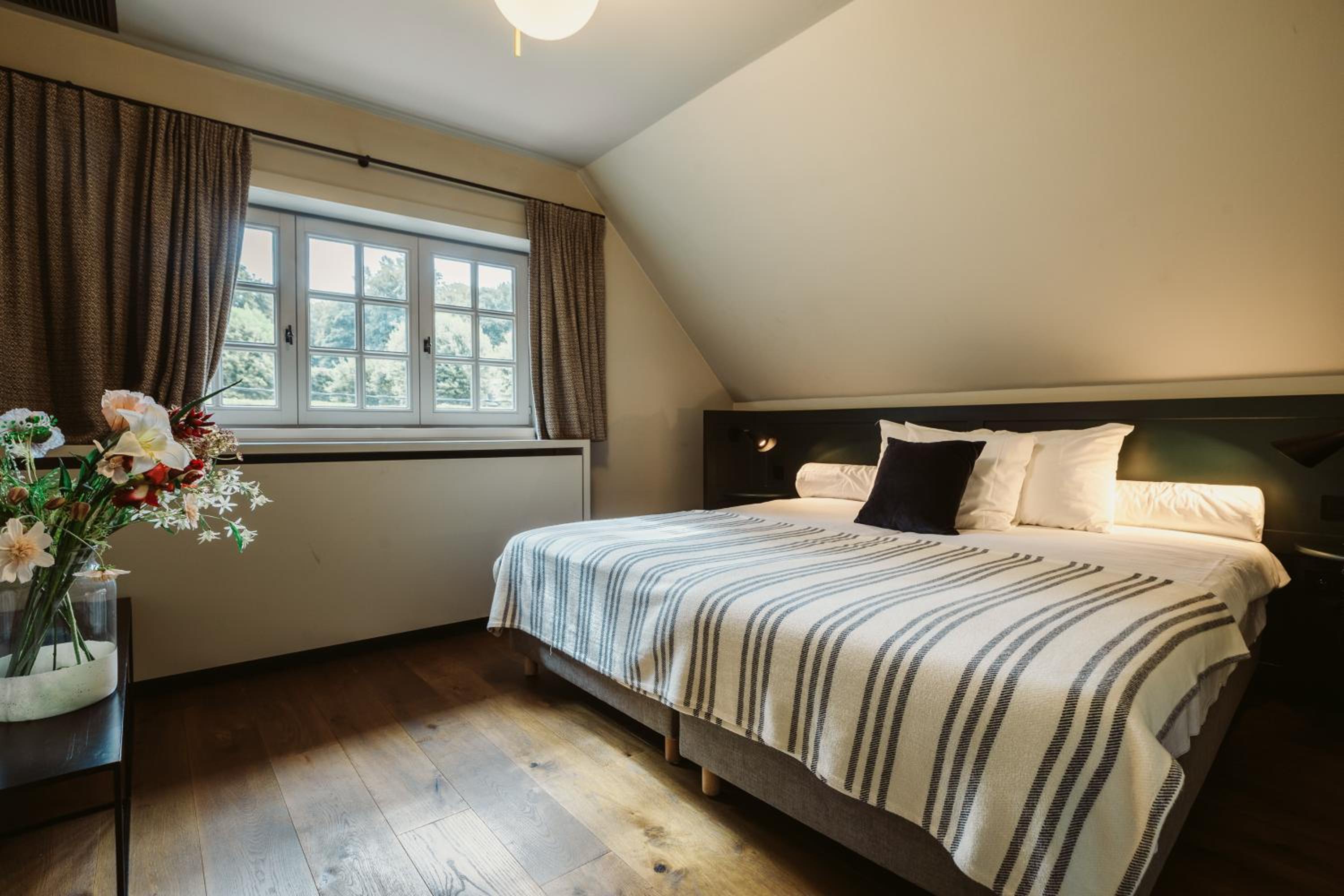 Suite - Photo 2