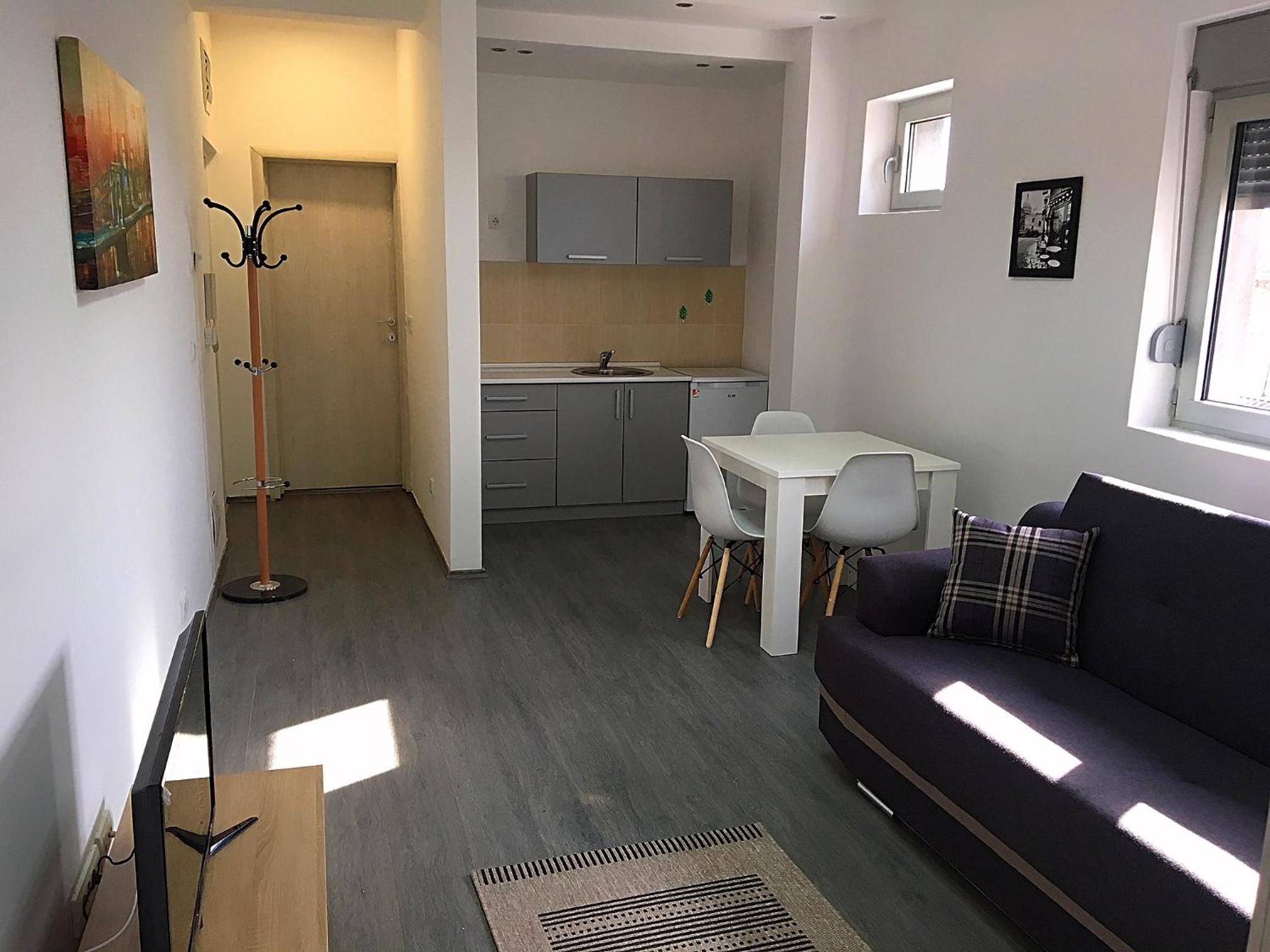 Deluxe One-Bedroom Apartment