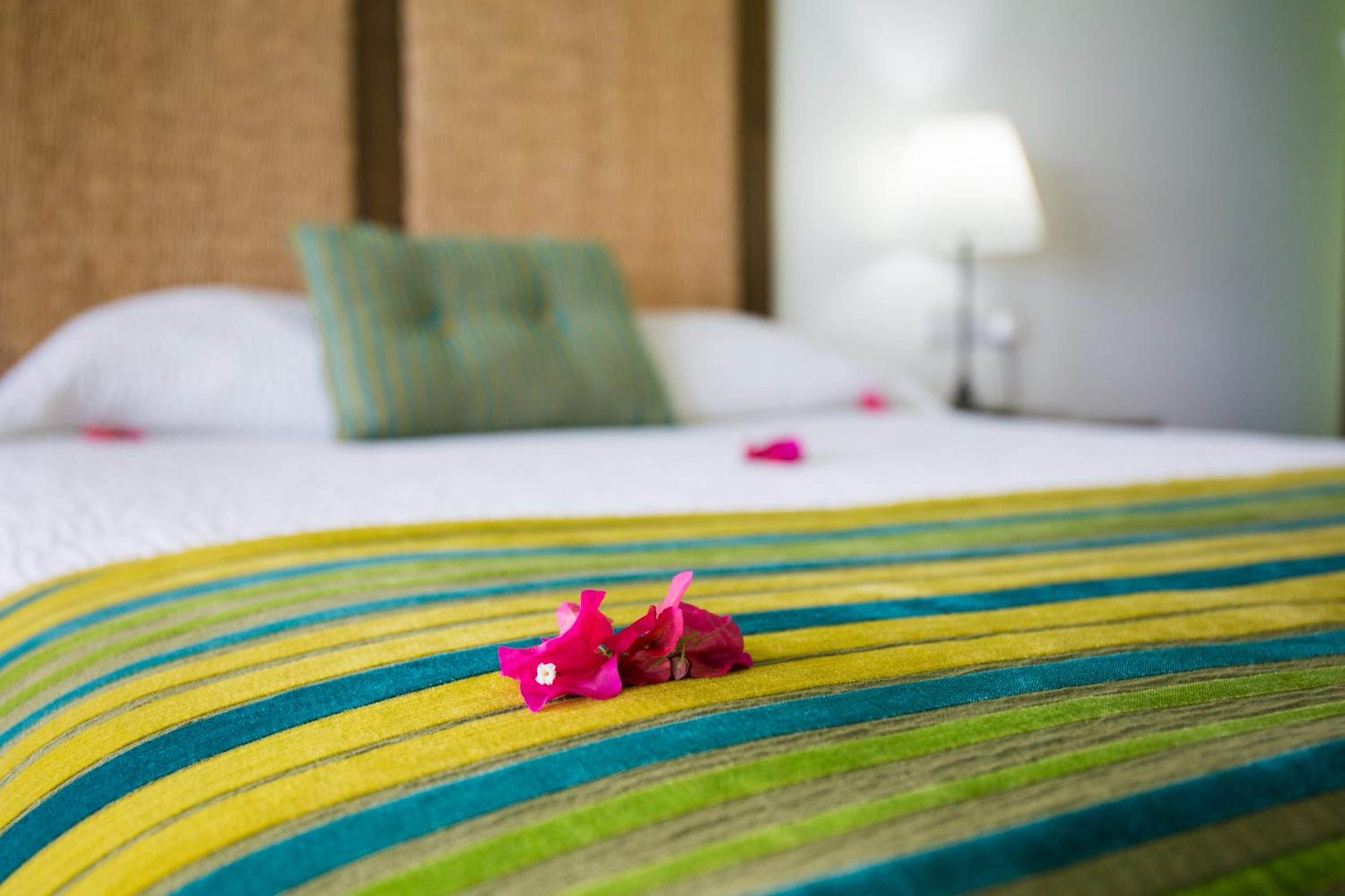 King Suite with Ocean View photo 2