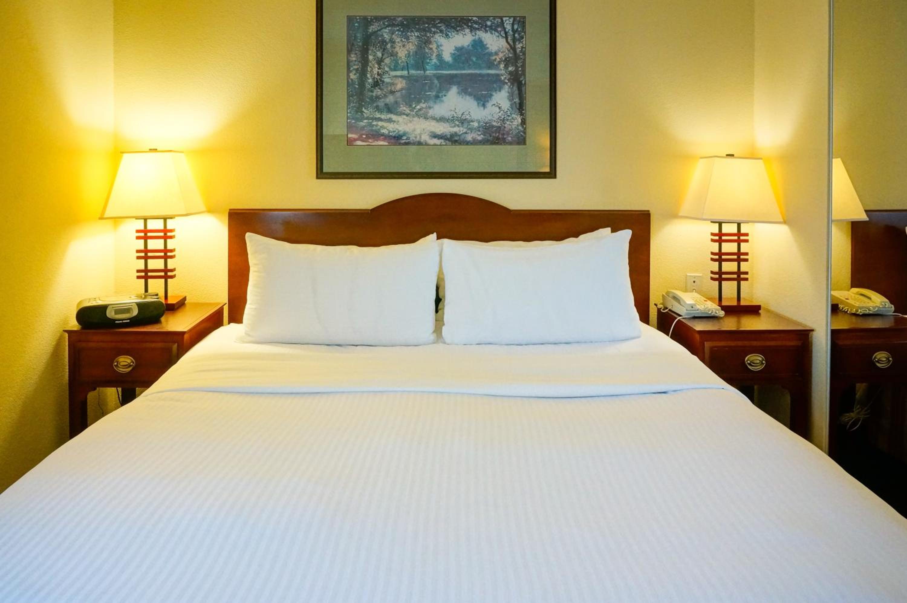 Double Suite - Photo 3