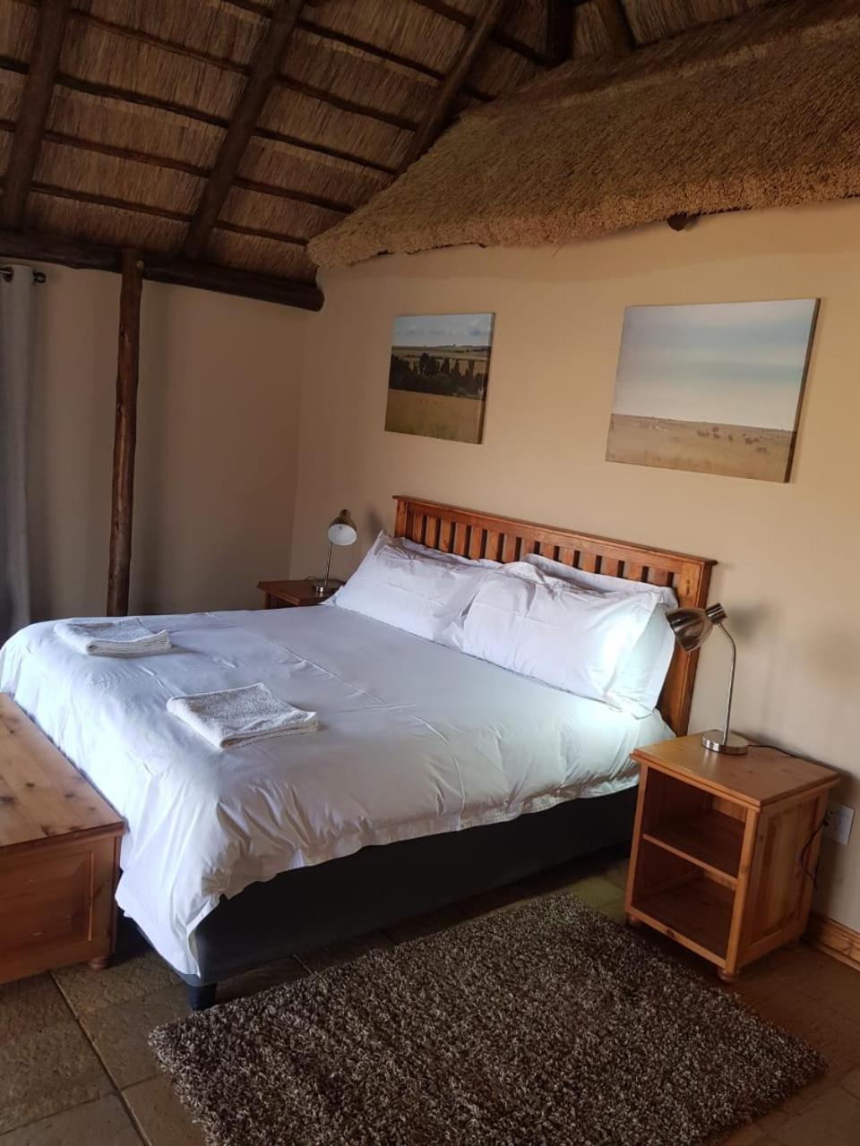 Comfort King Room photo 1