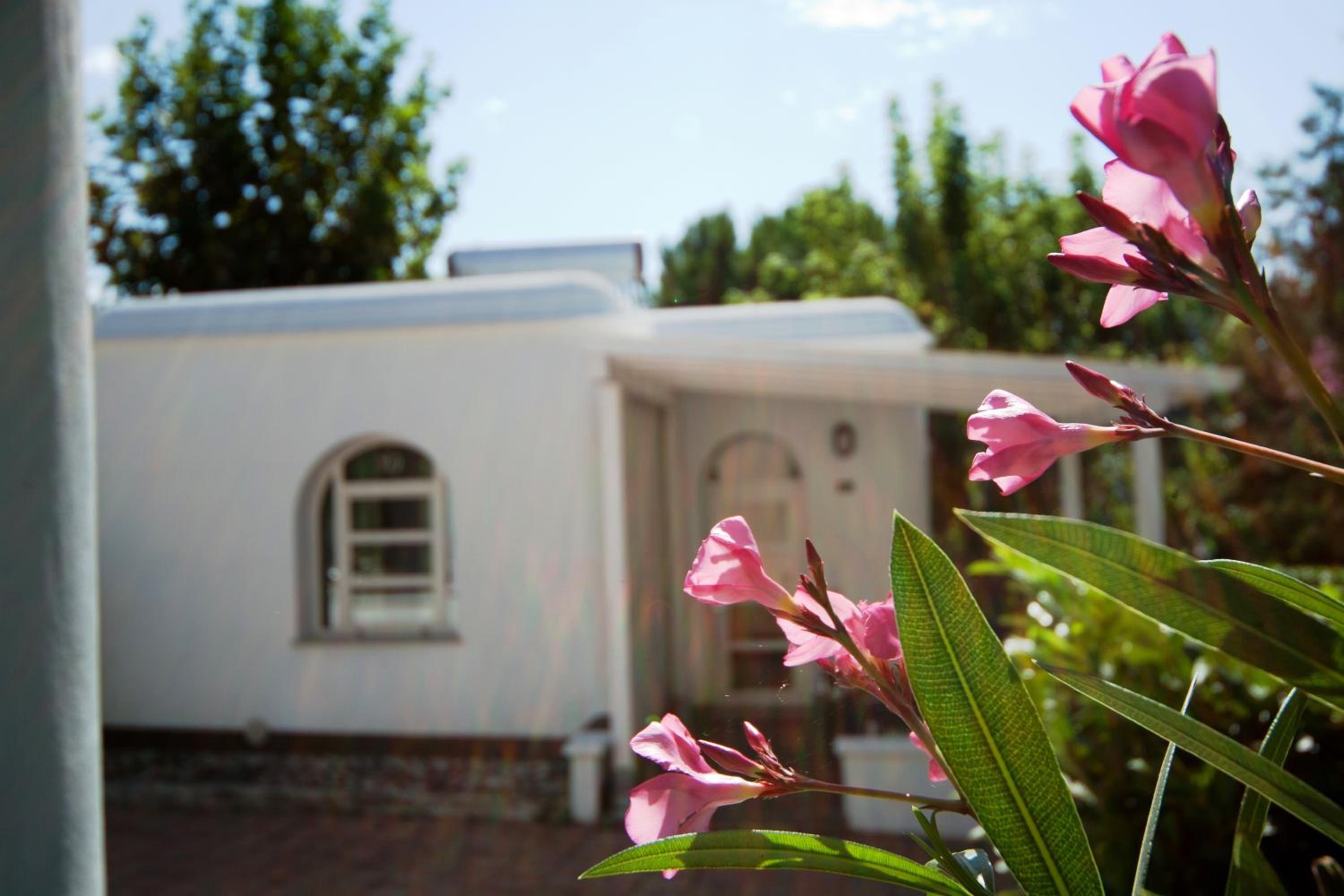 Standard Bungalow - Photo 12