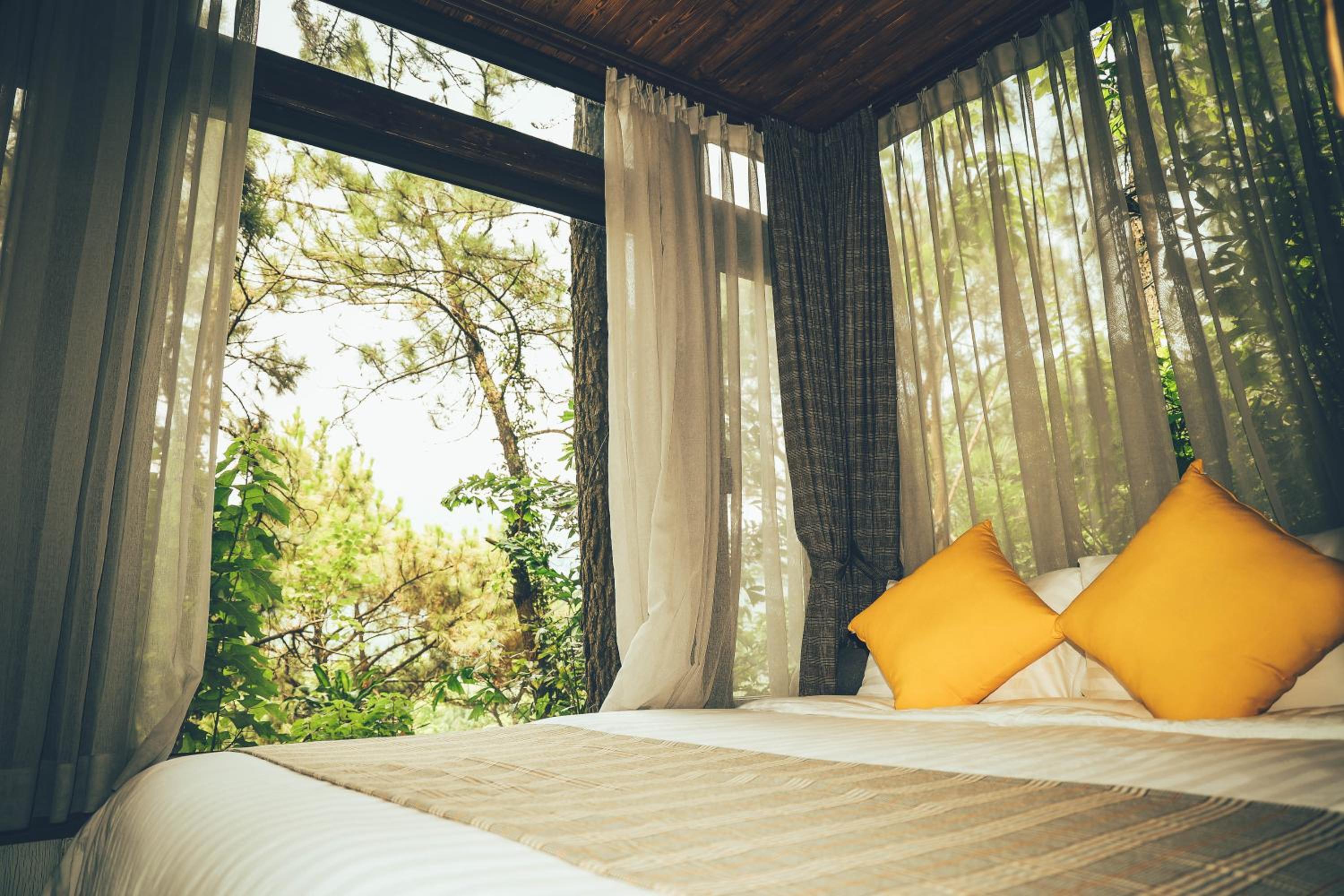 Deluxe Bungalow - Photo 7