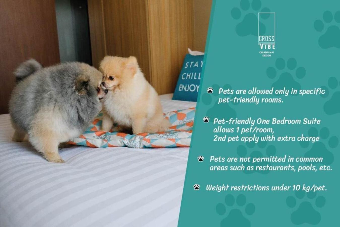 Pet-friendly One Bedroom Suite - Photo 7
