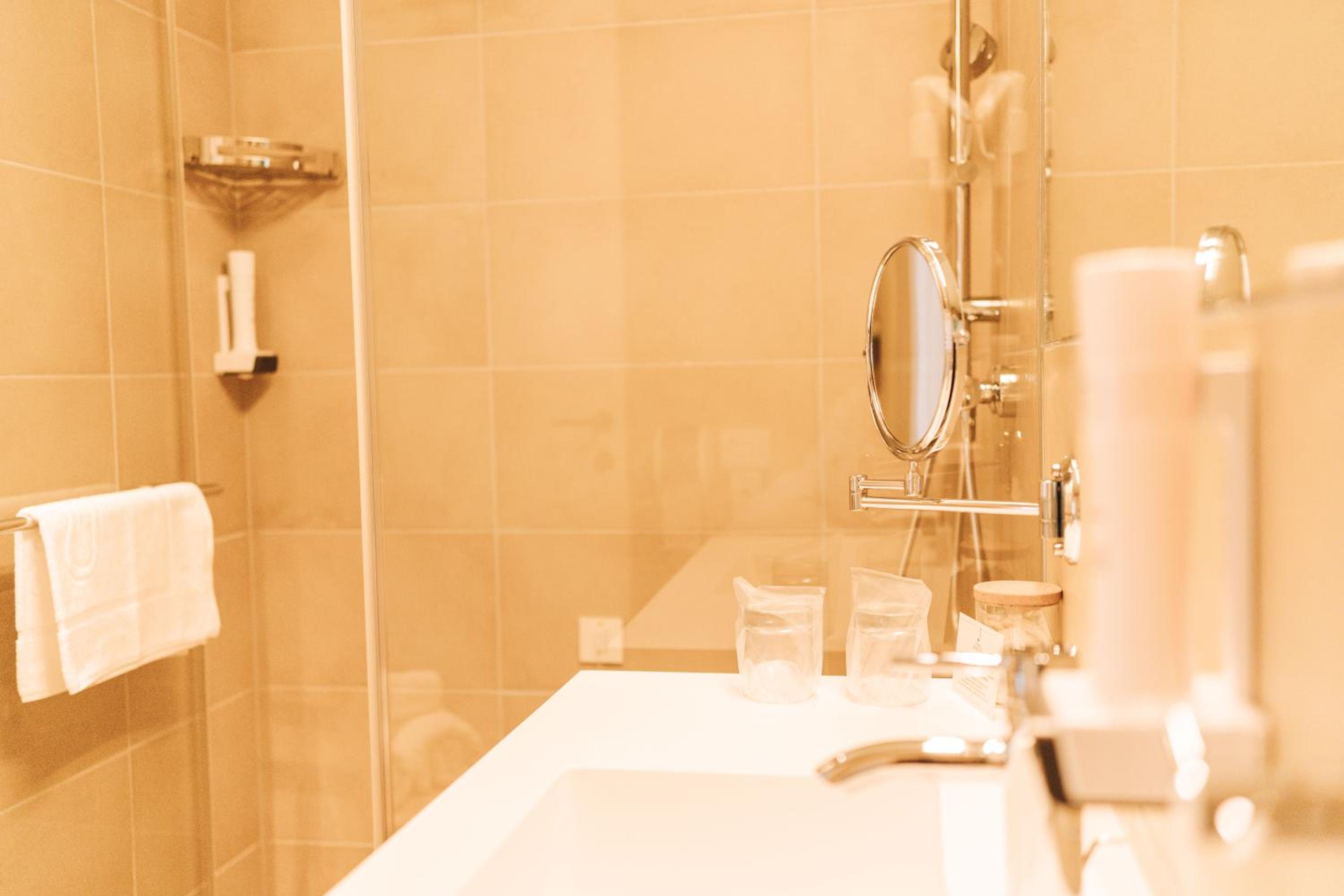 Deluxe Double or Twin Room photo 2