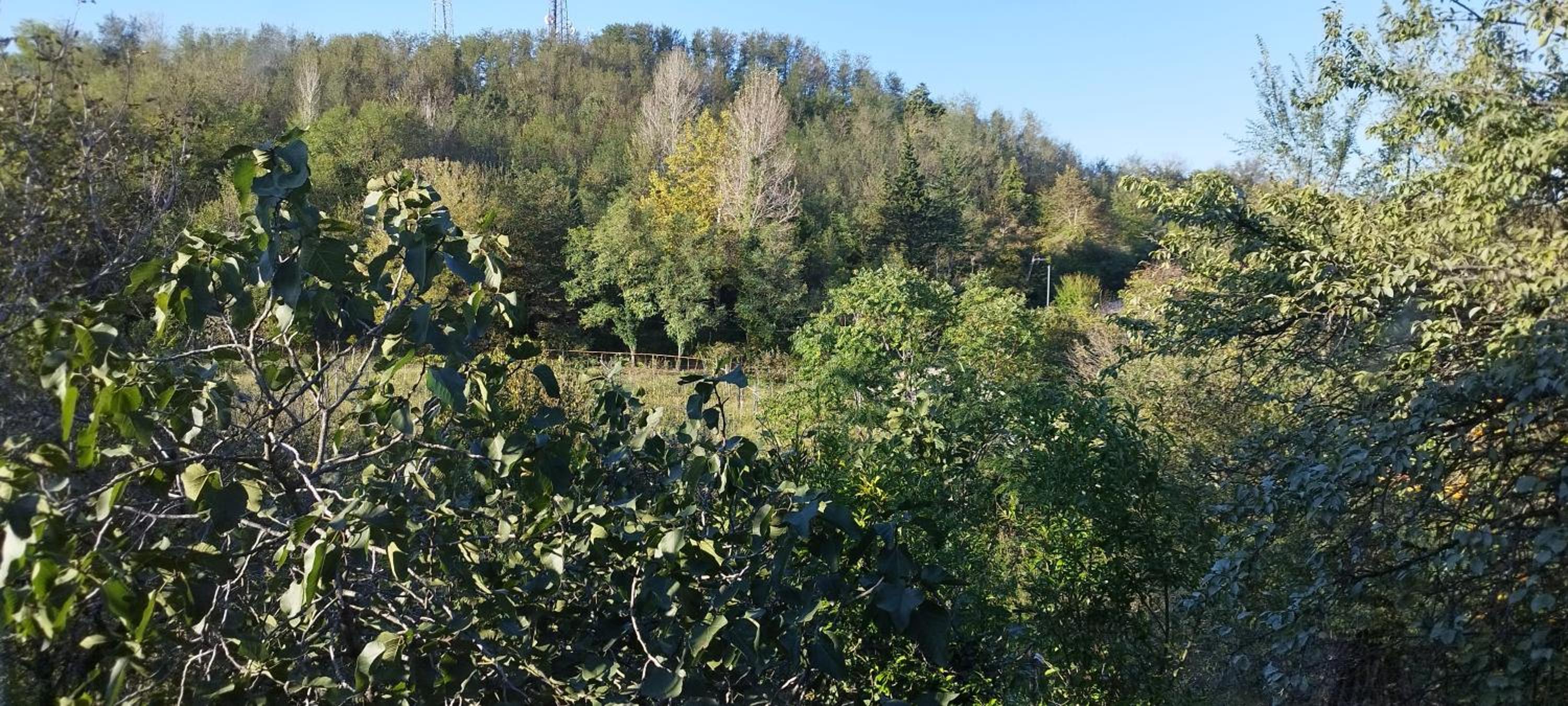 Twin Room with Balcony - Photo 2