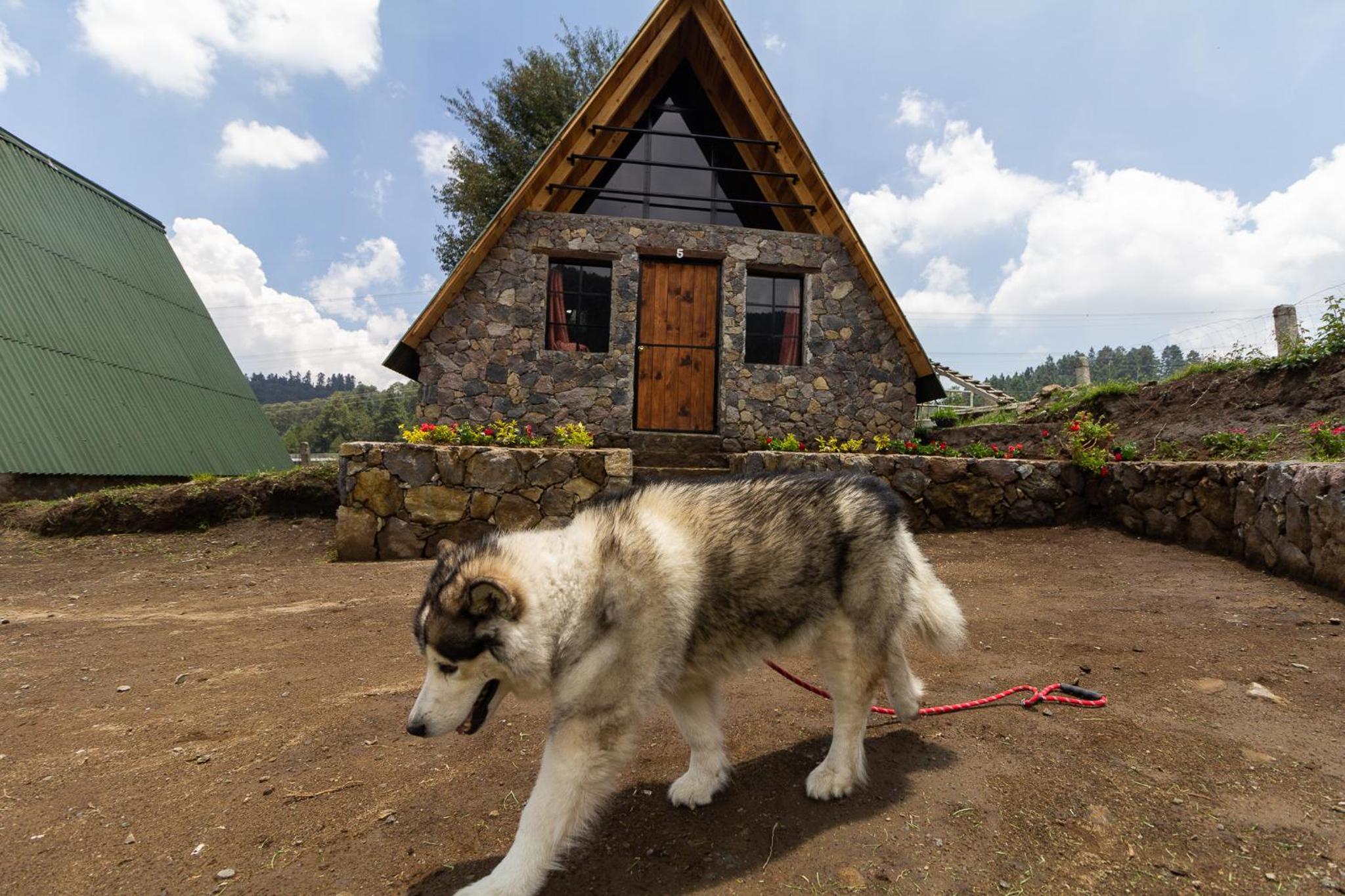 Superior Chalet - Photo 1