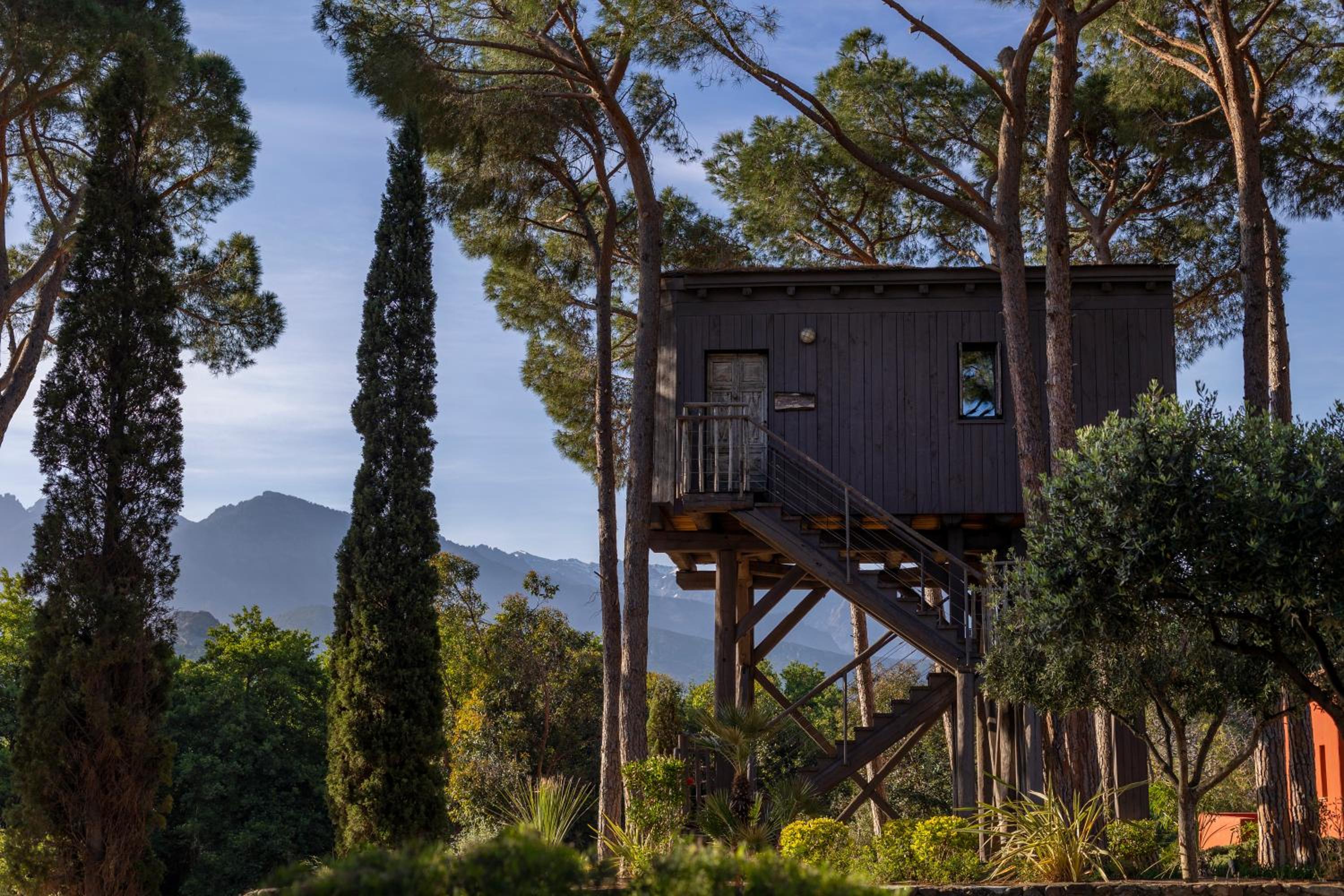 TREE  HOUSE - Photo 6