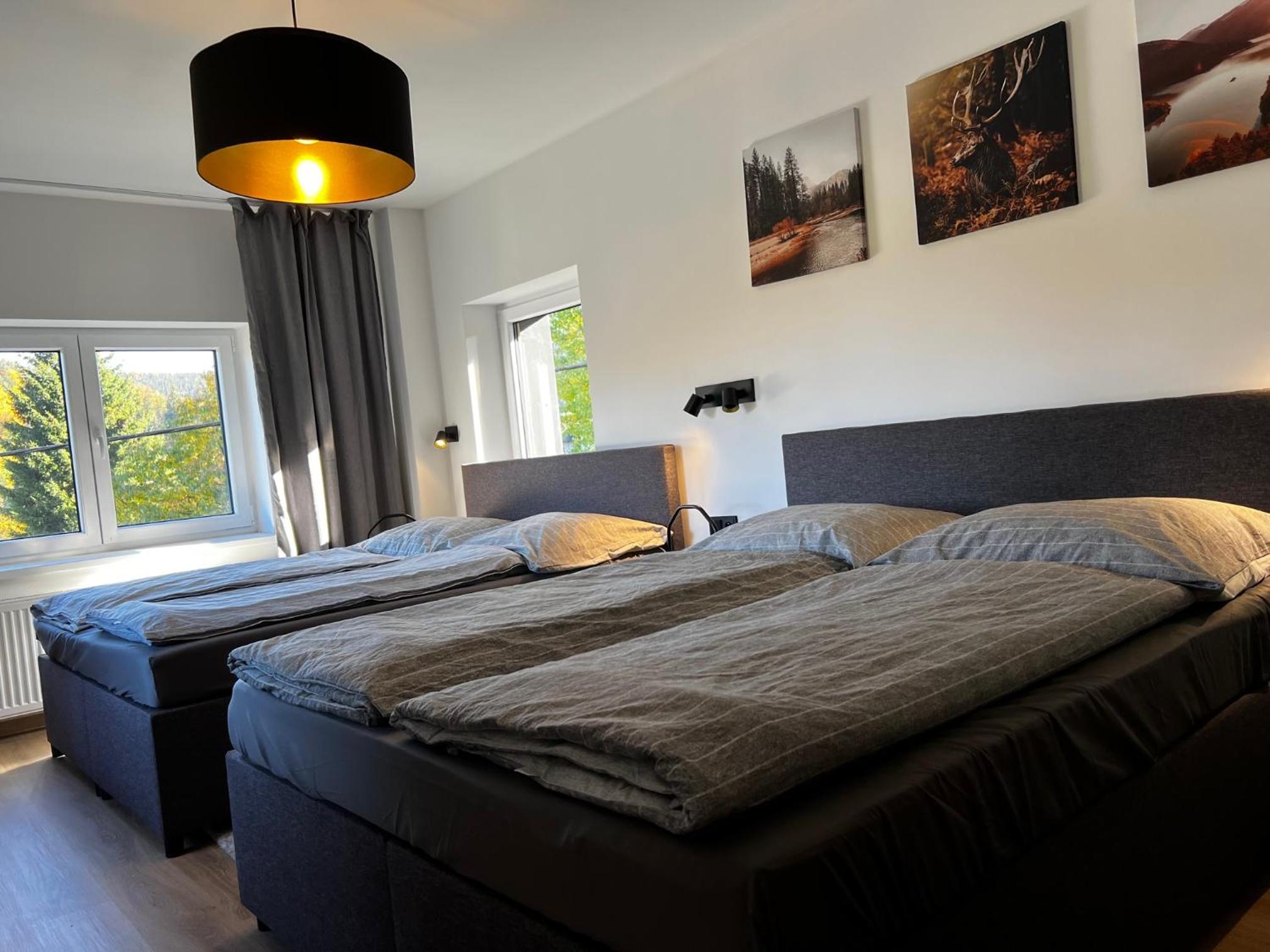 Three-Bedroom Chalet photo 1