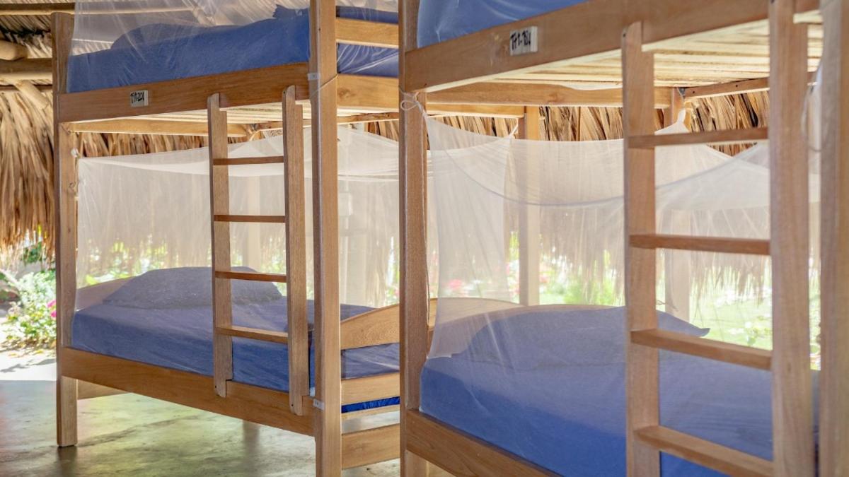 Bed in 25-Bed Mixed Dormitory Room photo 1