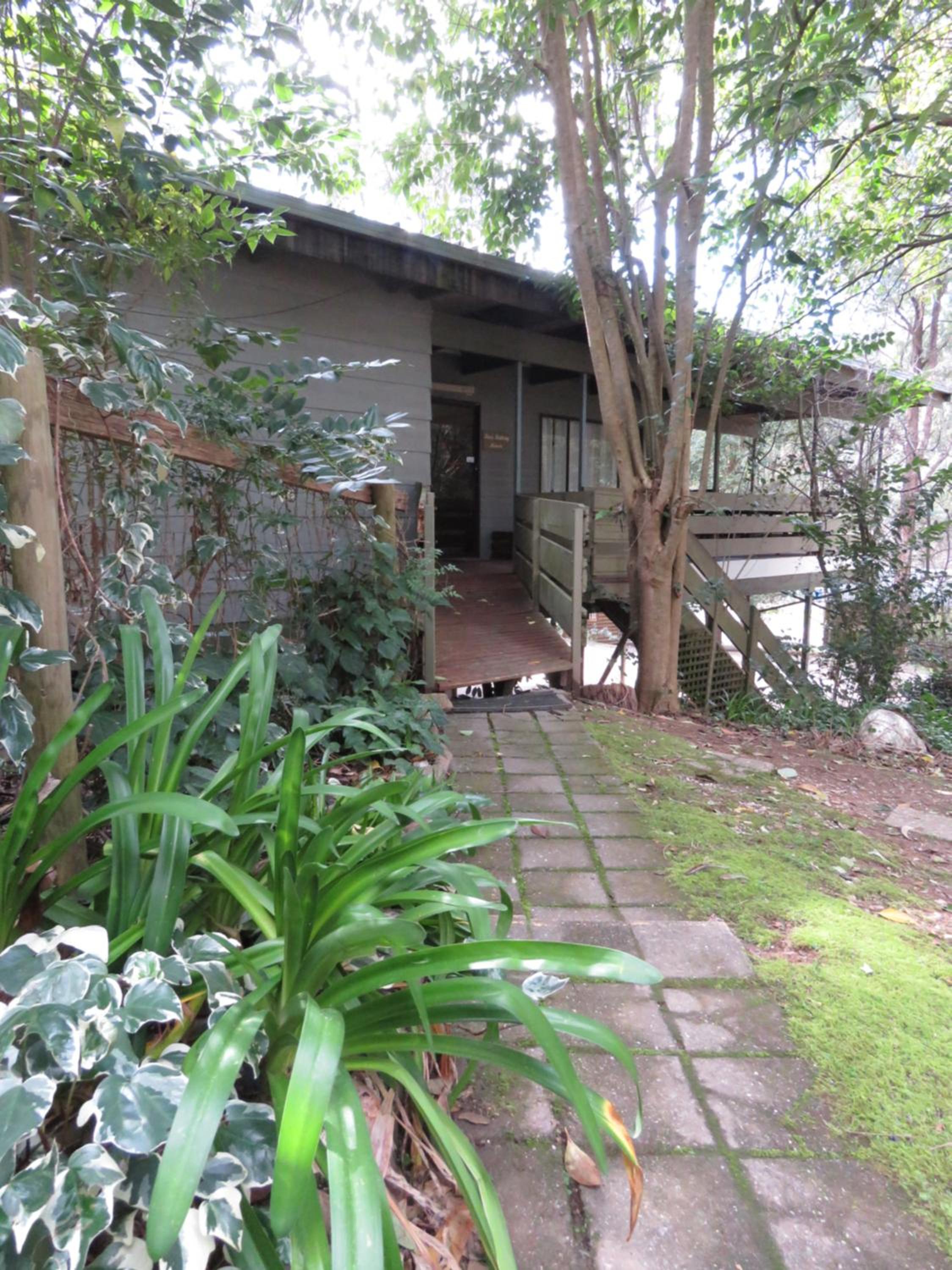 Tree House photo 2