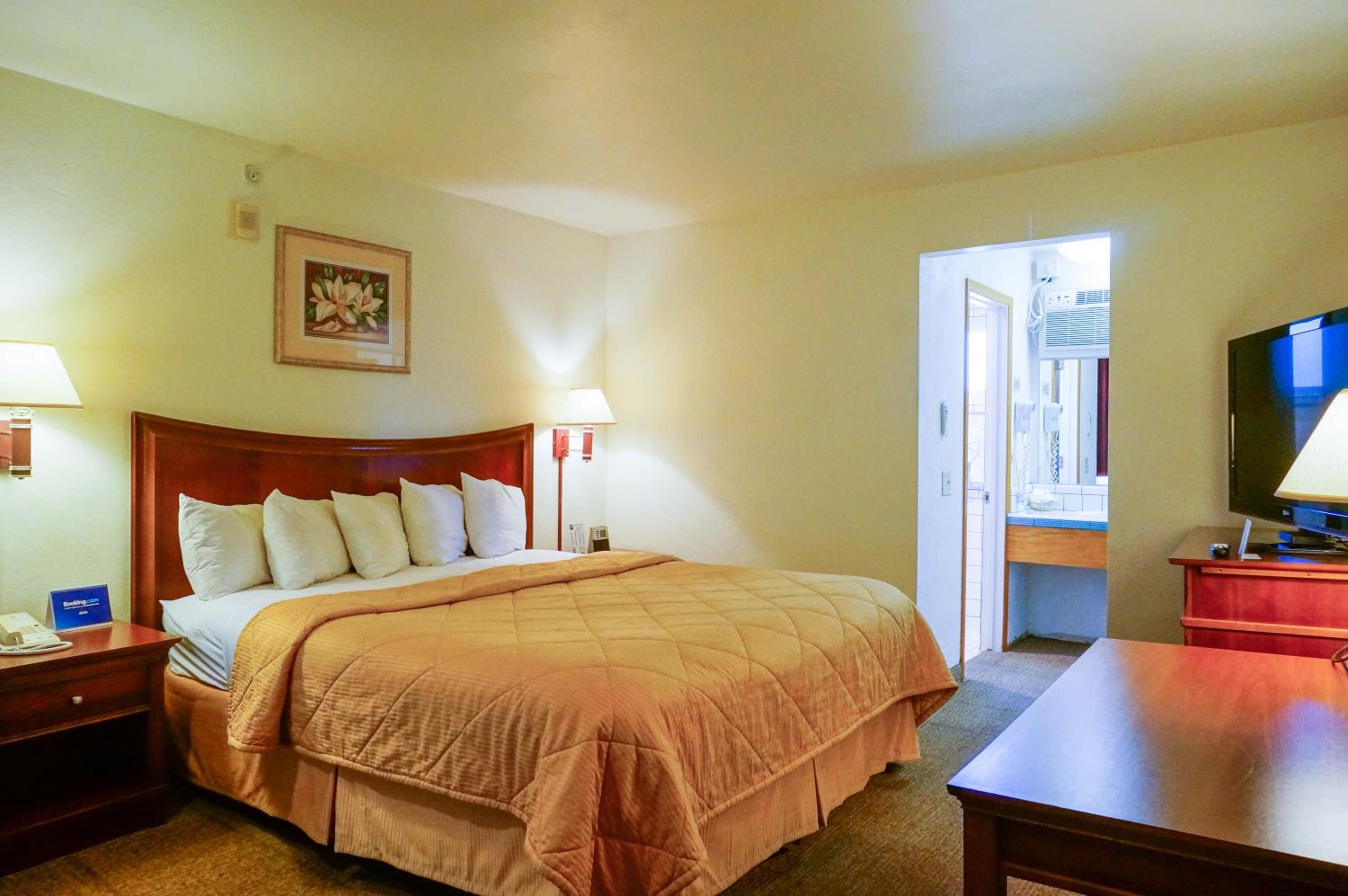 King Room photo 1