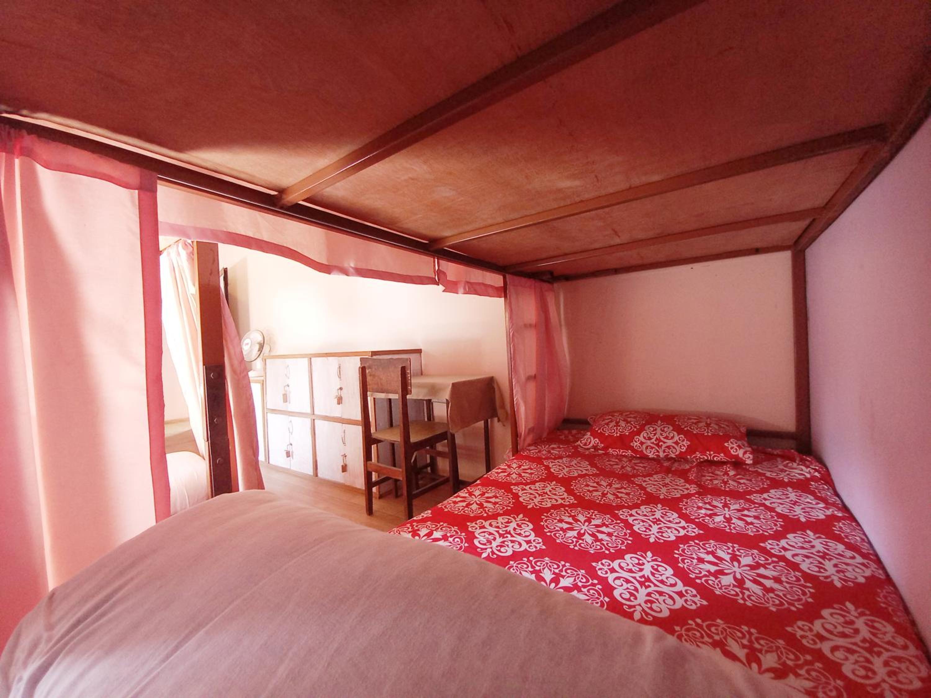 Bunk Bed in Female Dormitory Room   photo 3