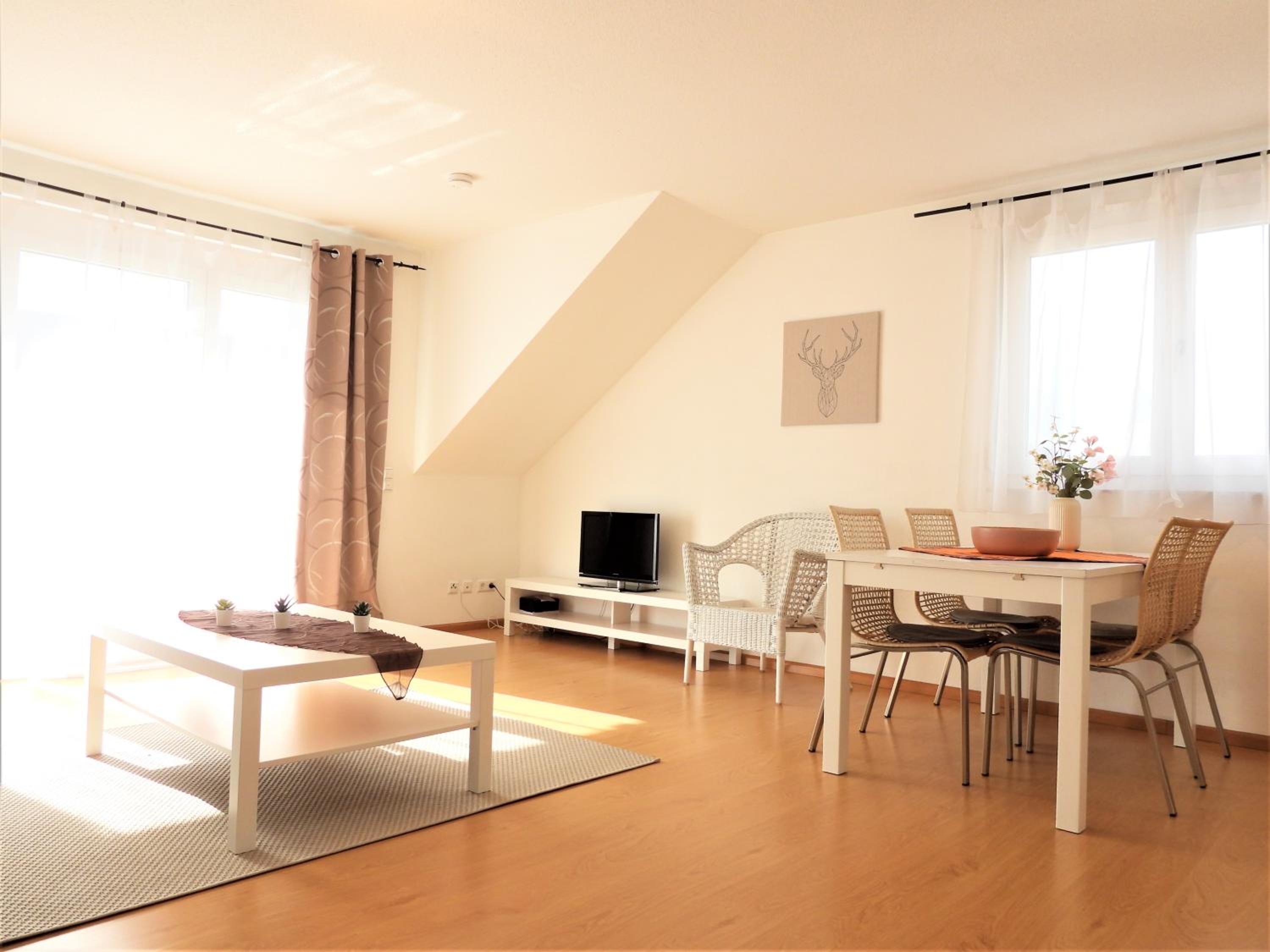 One-Bedroom Apartment Attic Floor (L12)