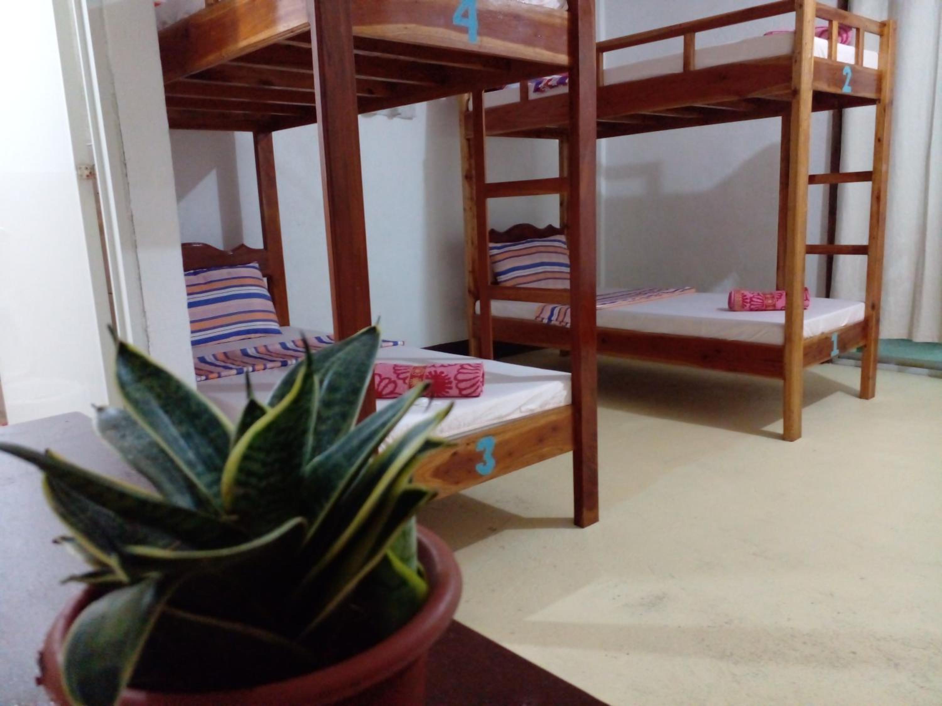 Economy Quadruple Room - Photo 4