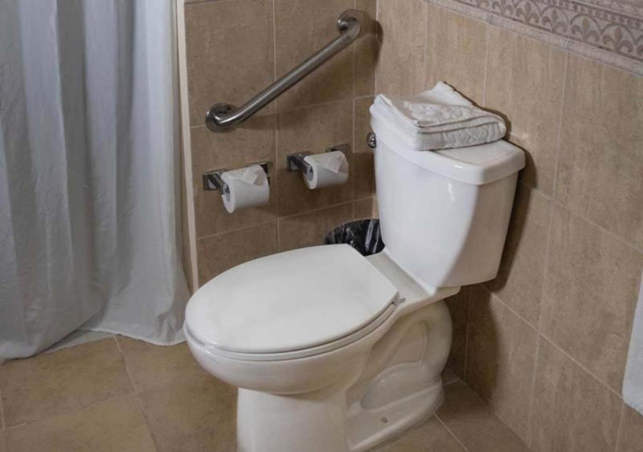 Double Room - Disability Access - Photo 5