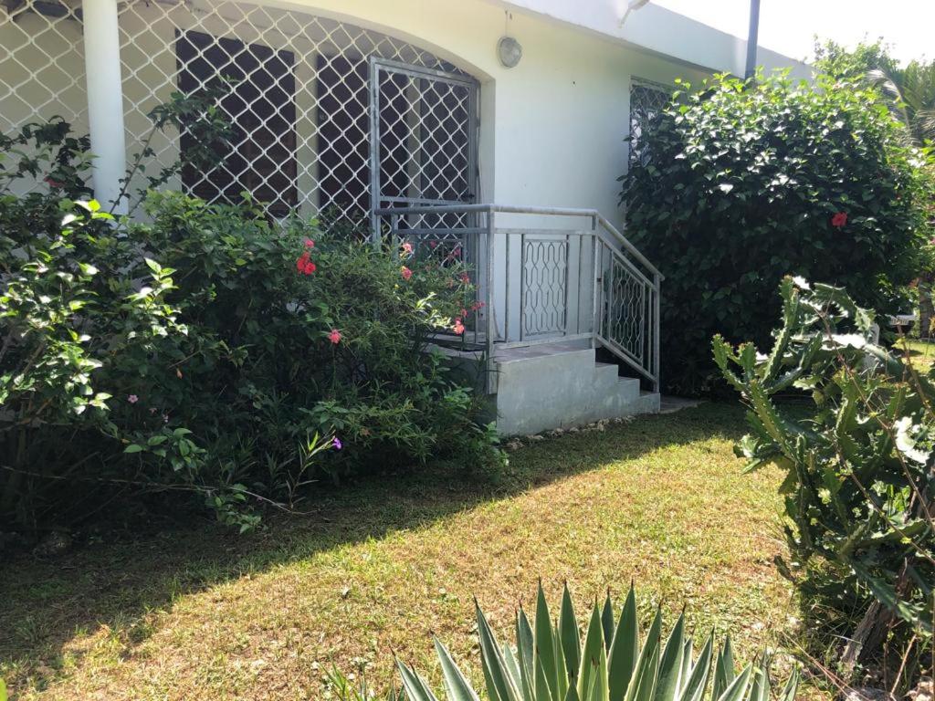 Studio with Garden View photo 2