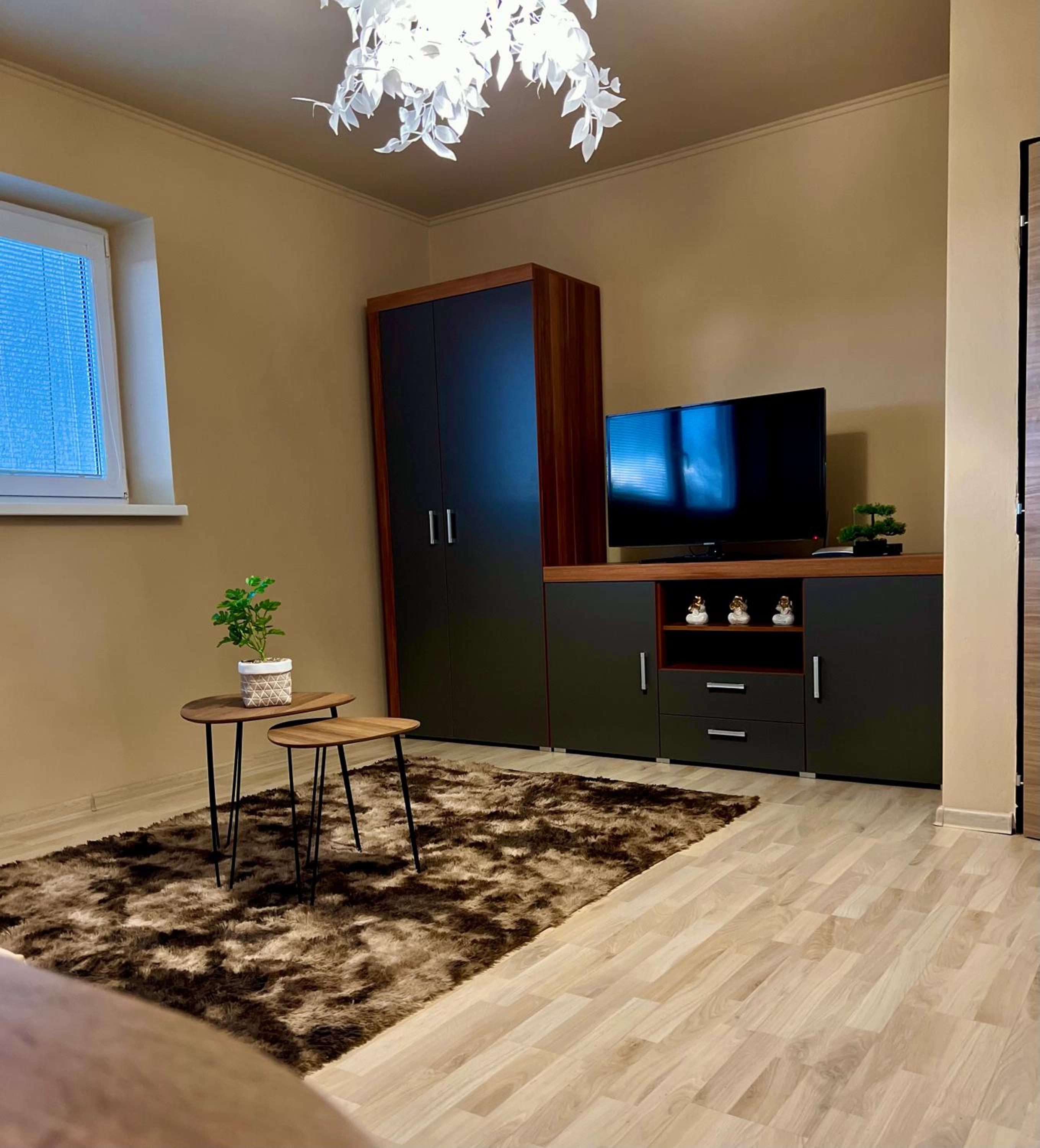 One-Bedroom Apartment photo 3