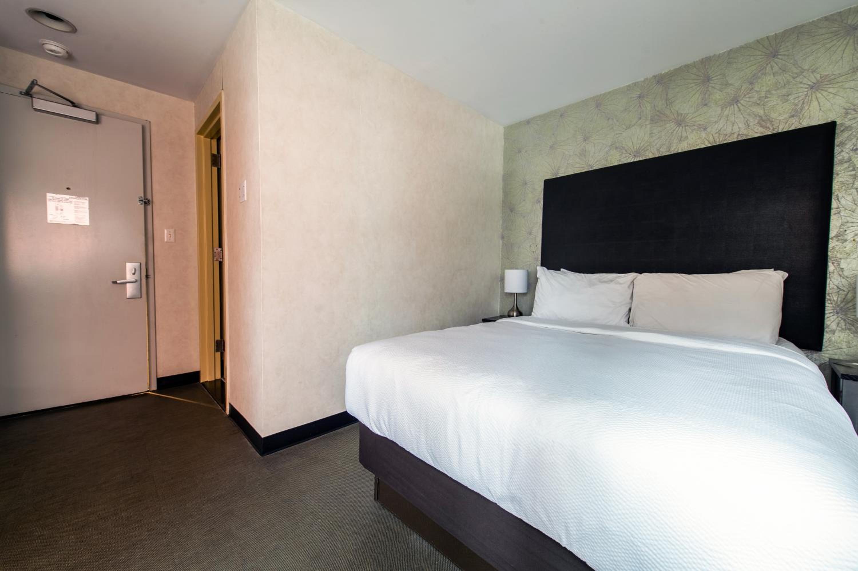 Queen Room - Disability Access photo 3