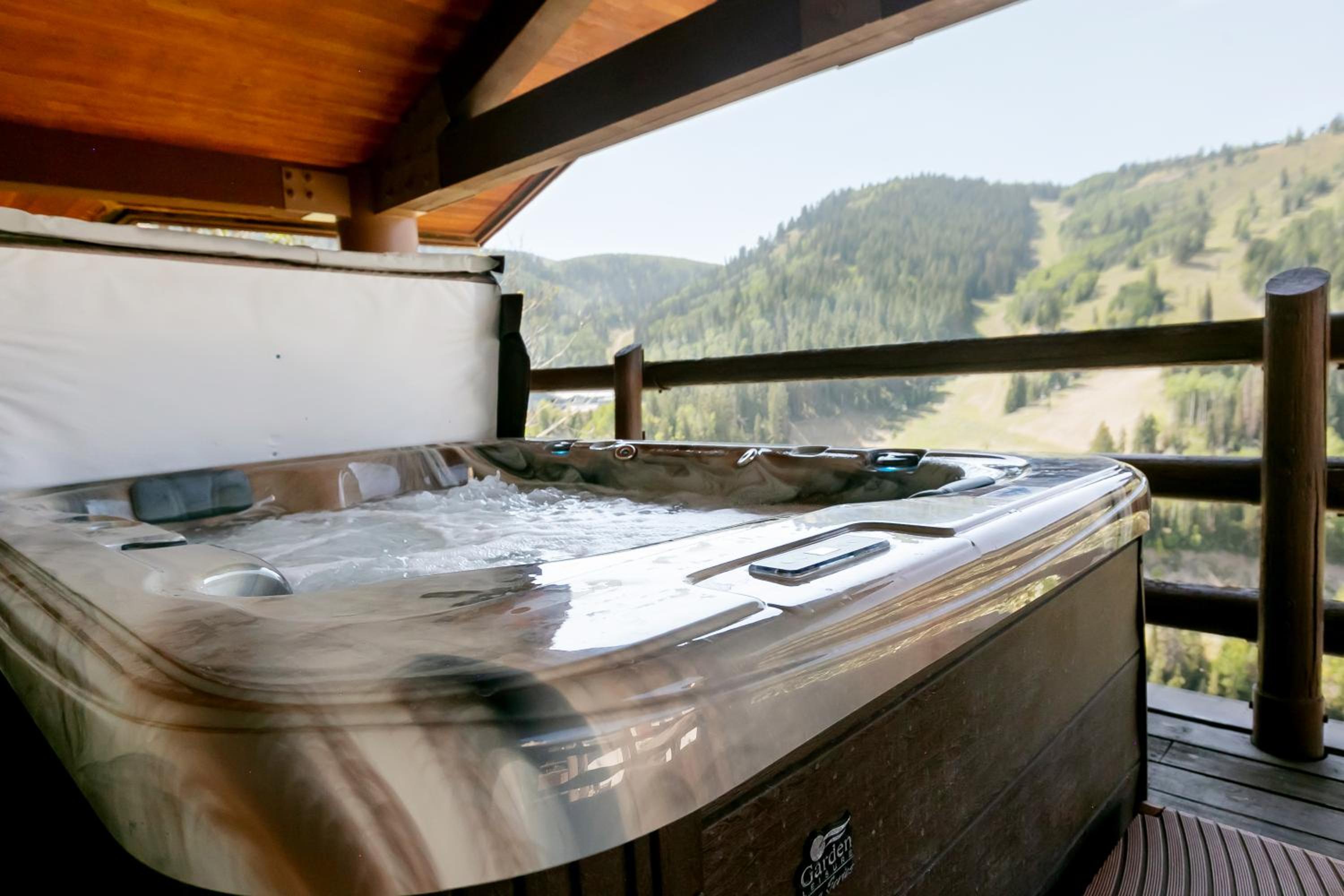 Luxury One Bedroom with Mountain View - Photo 3